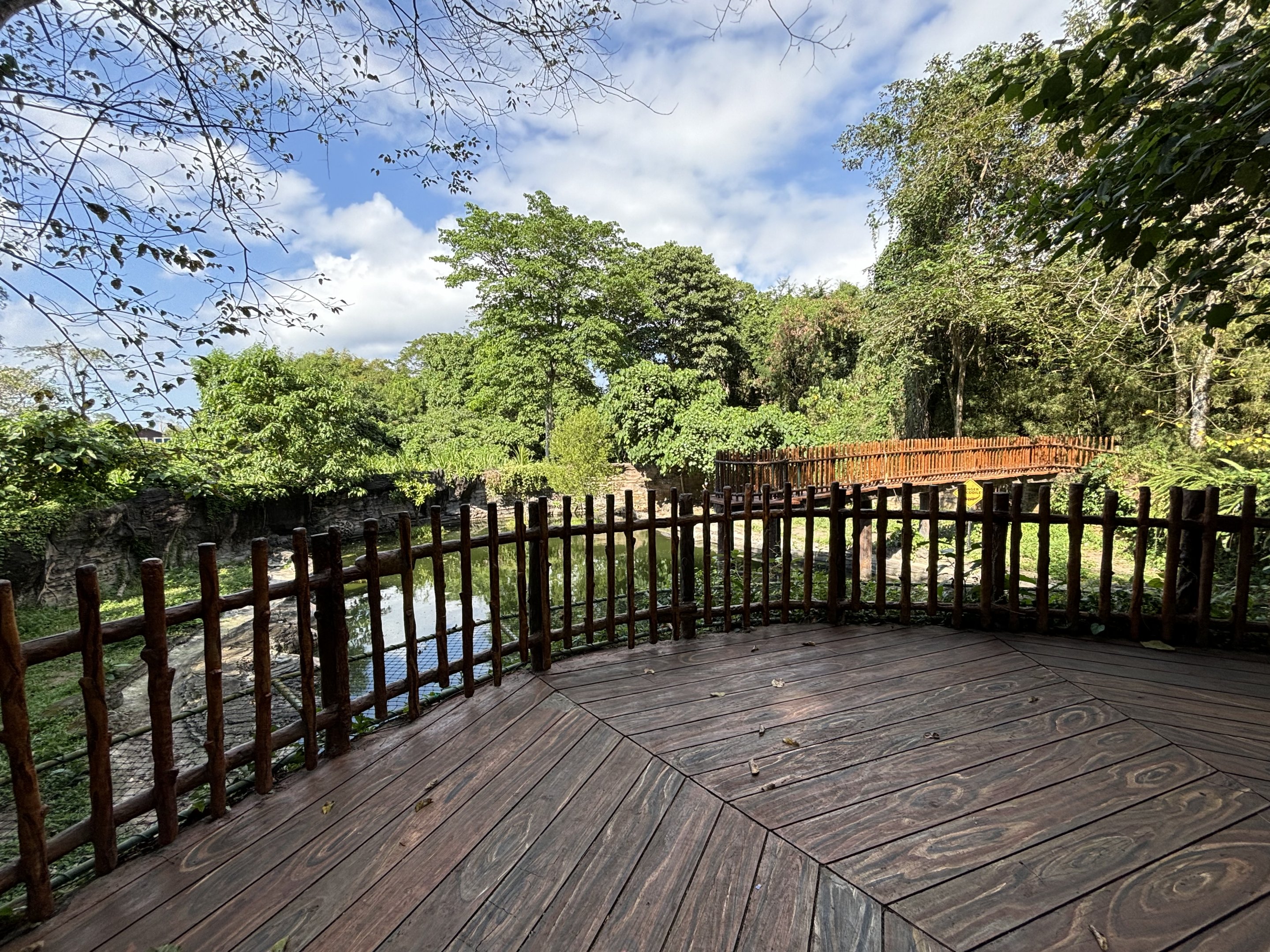 Saltwater Crocodile Exhibit