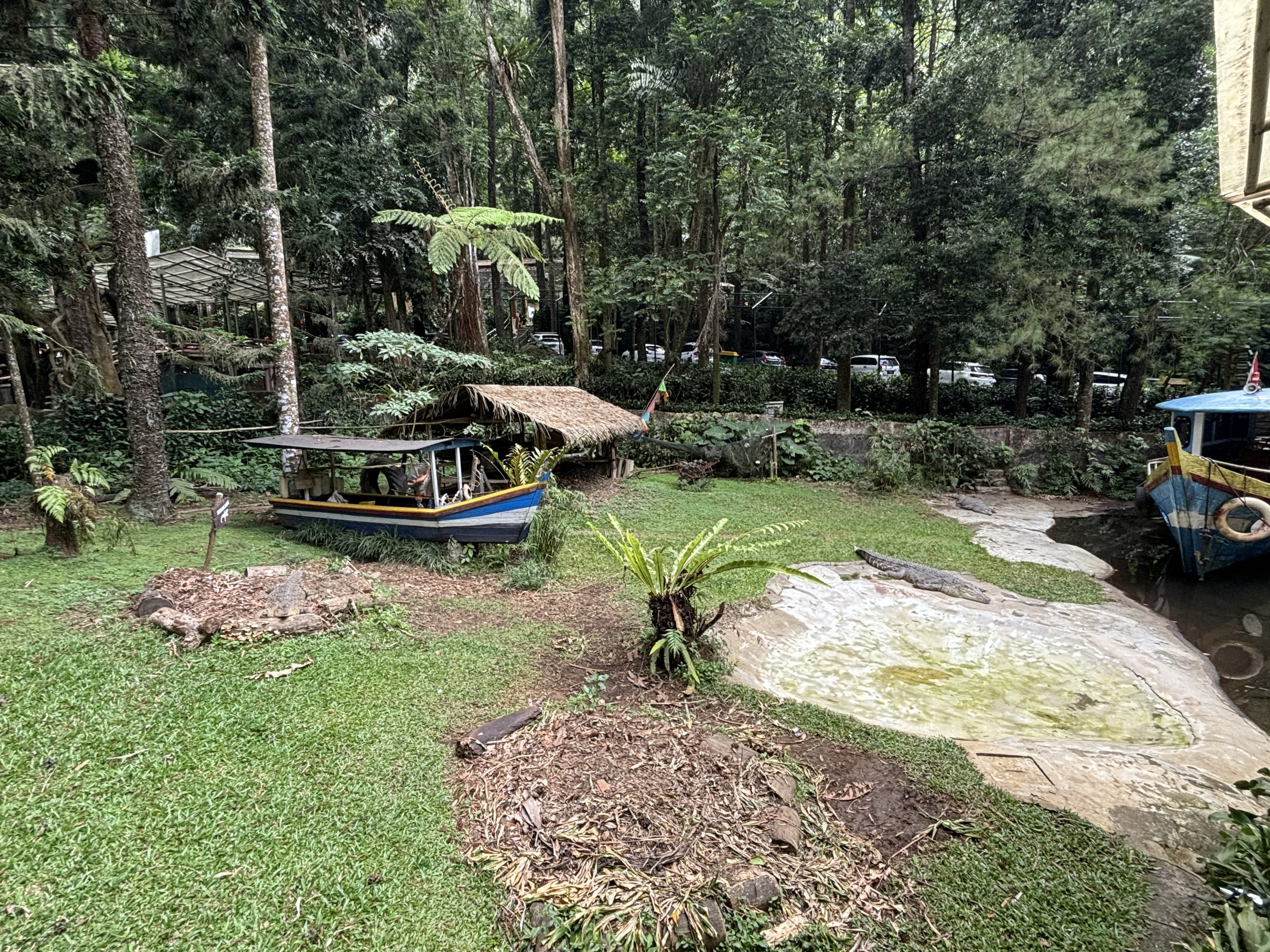 Saltwater Crocodile Exhibit