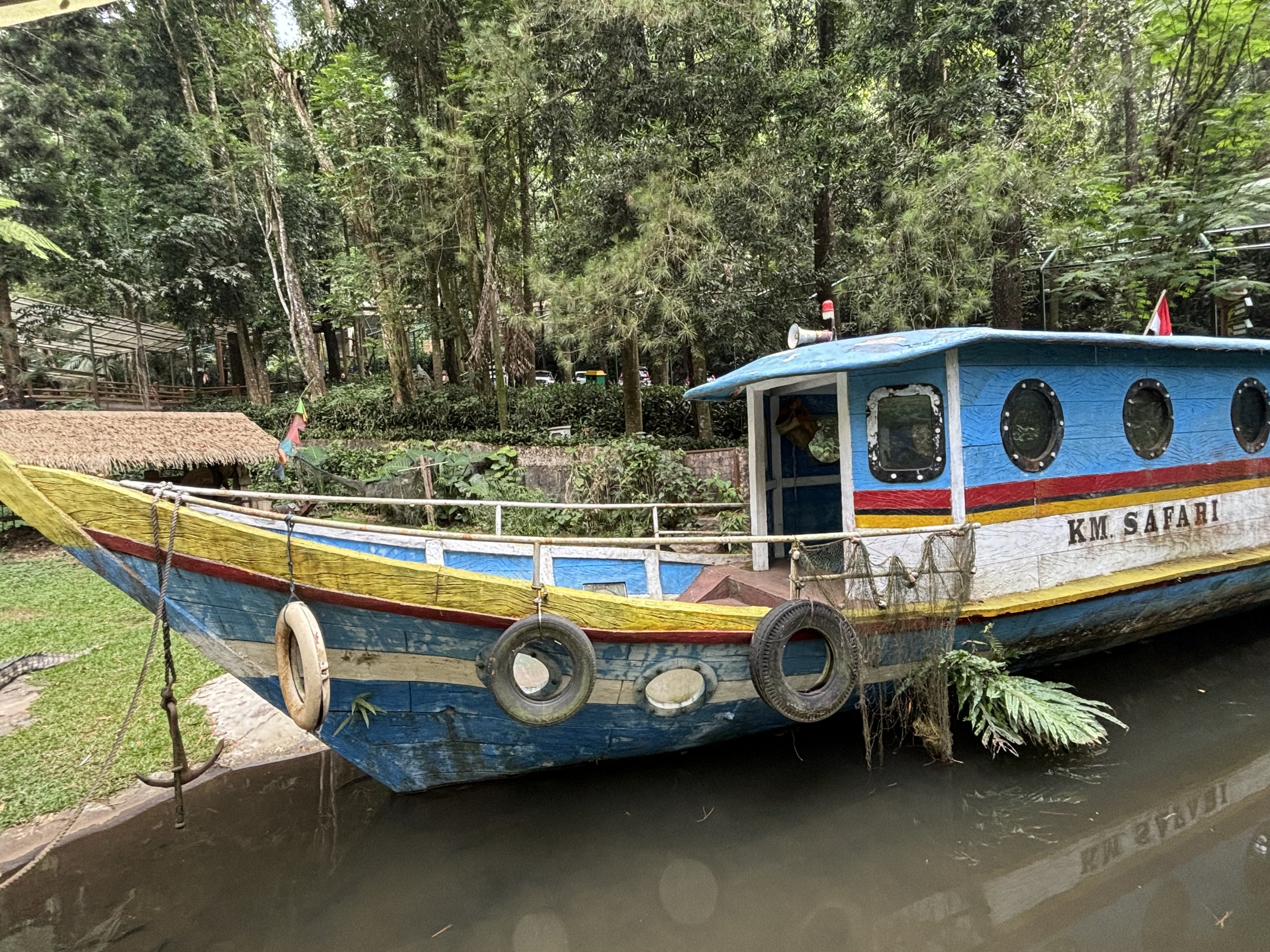 Saltwater Crocodile Exhibit