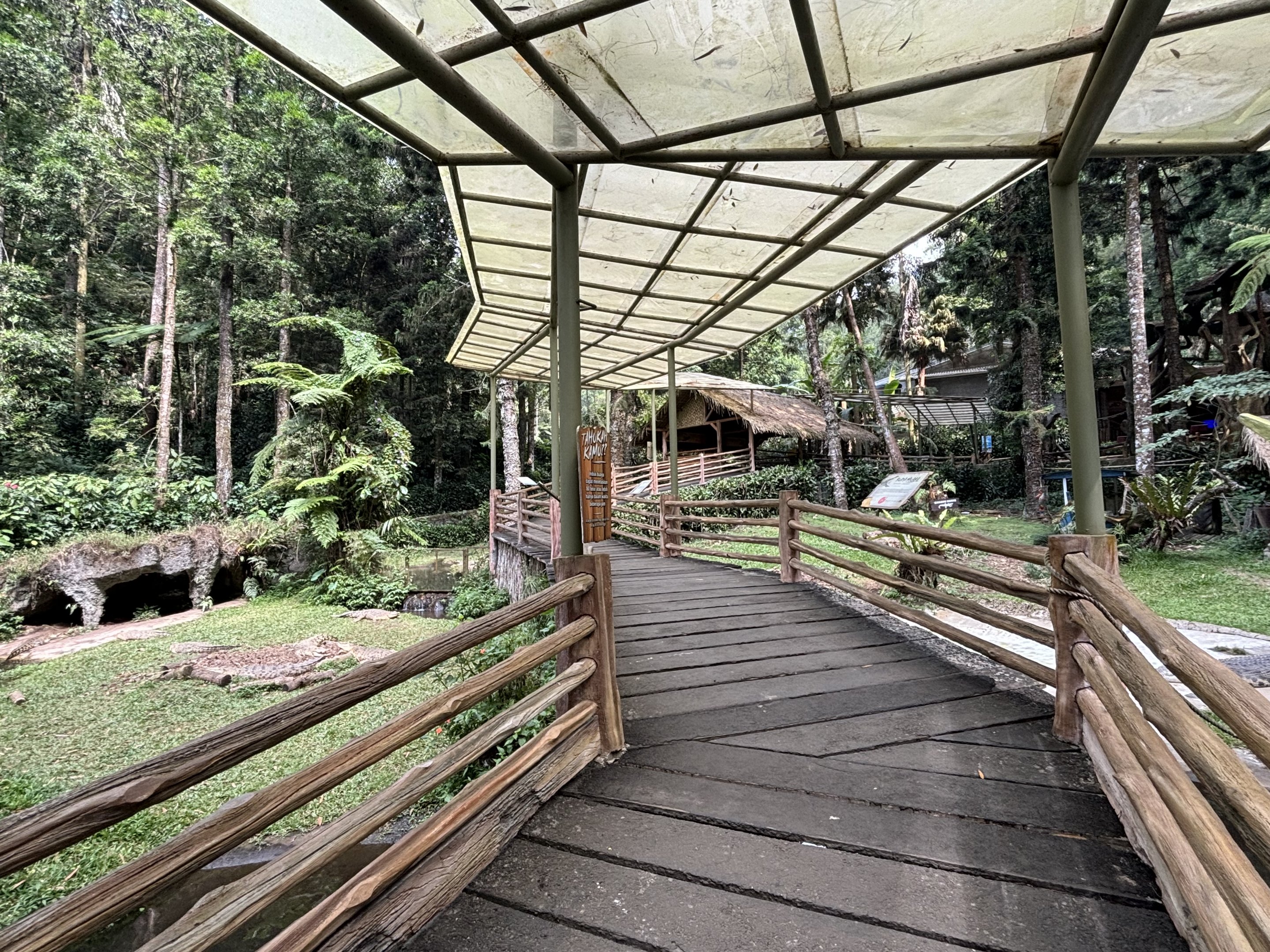 Saltwater Crocodile Exhibit