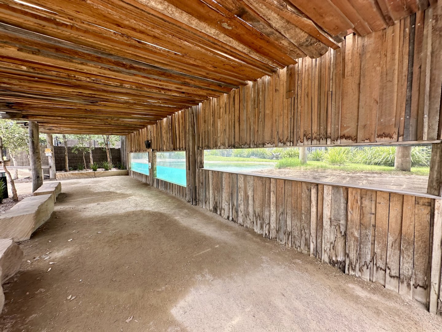 Saltwater Crocodile Exhibit