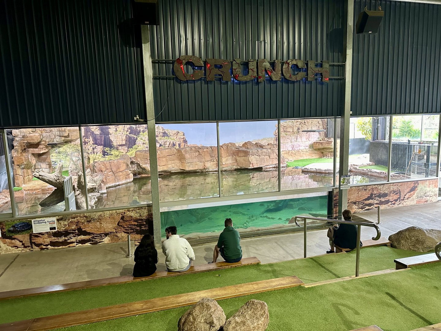 Saltwater Crocodile Indoor Pool