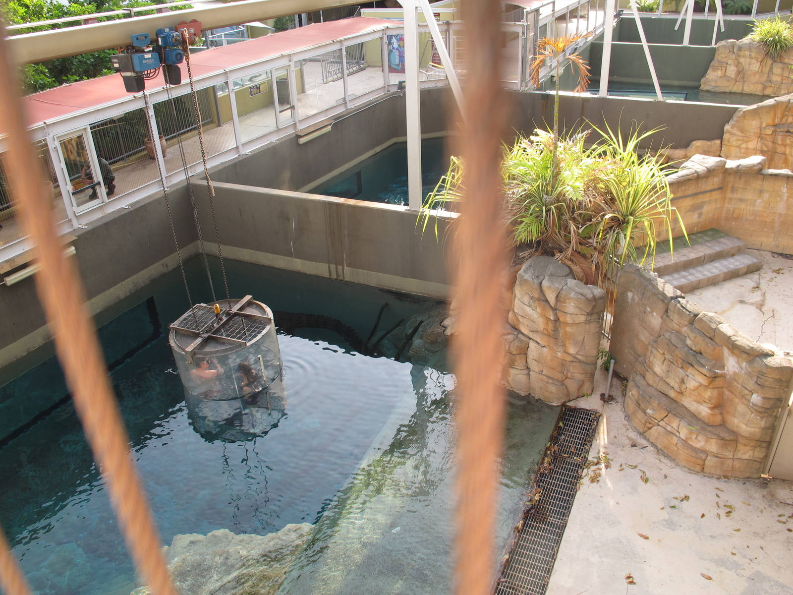 Saltwater Crocodile Pens - Crocosaurus Cove