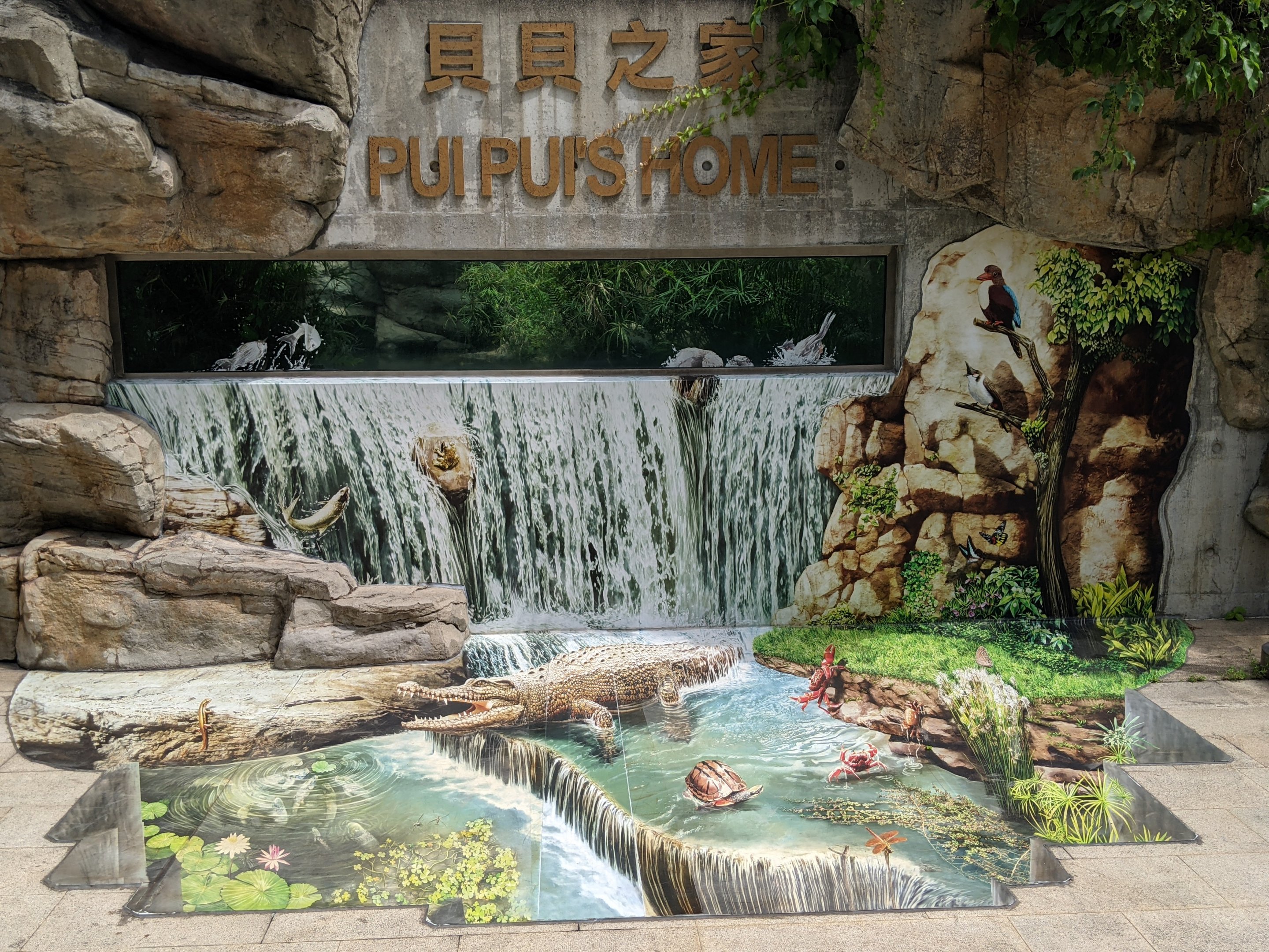 Saltwater Crocodile (Pui Pui) enclosure