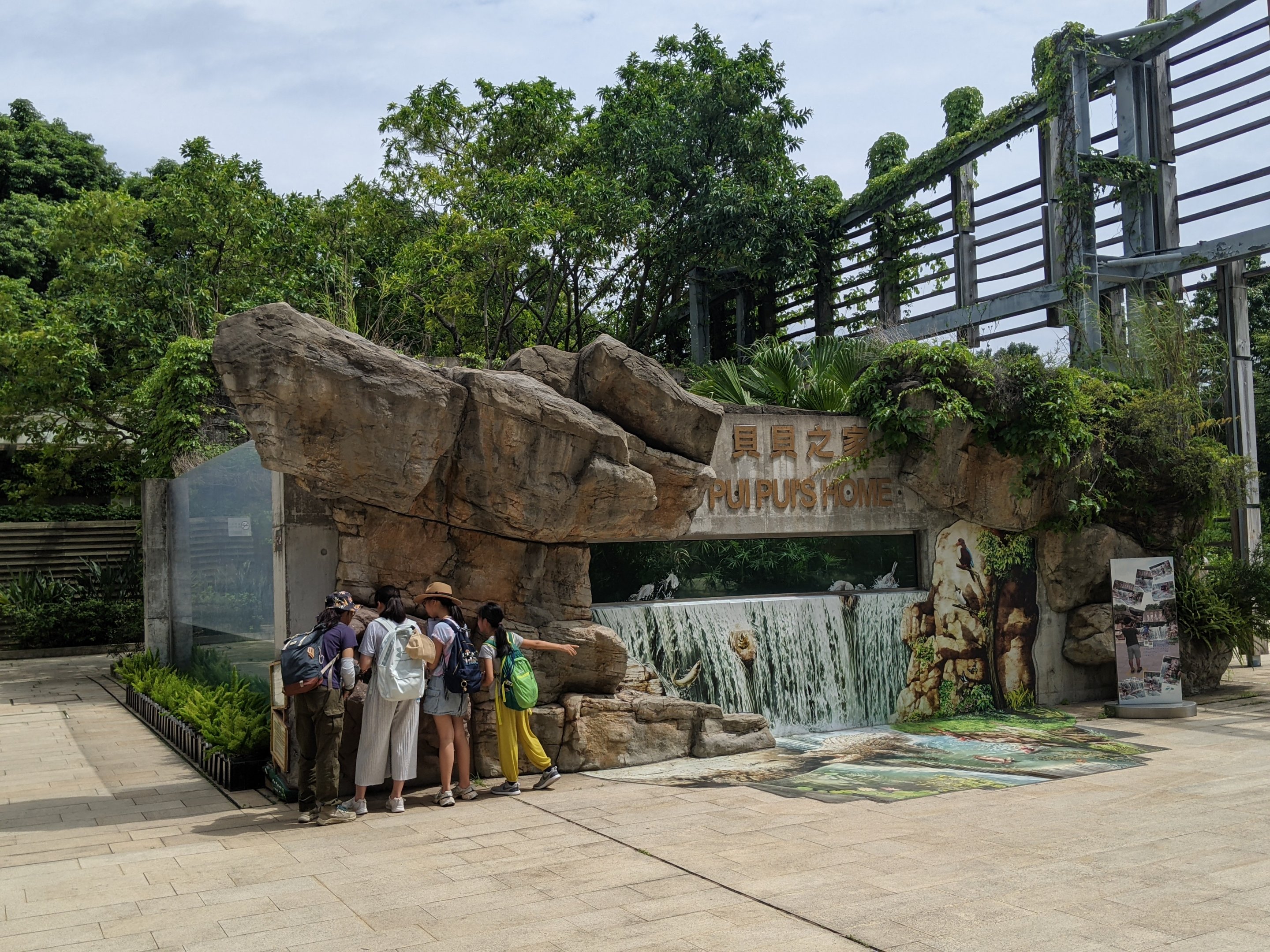 Saltwater Crocodile (Pui Pui) enclosure