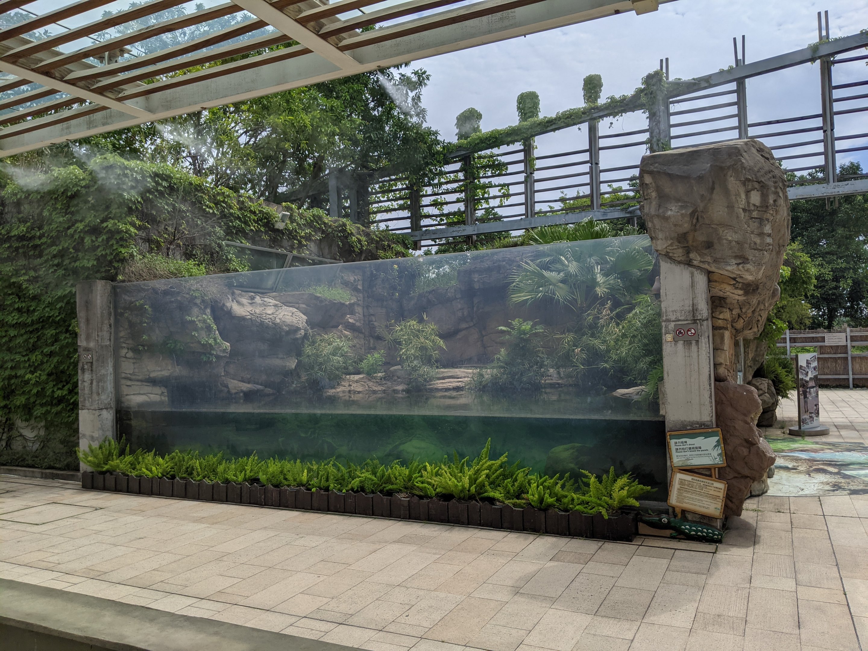 Saltwater Crocodile (Pui Pui) enclosure