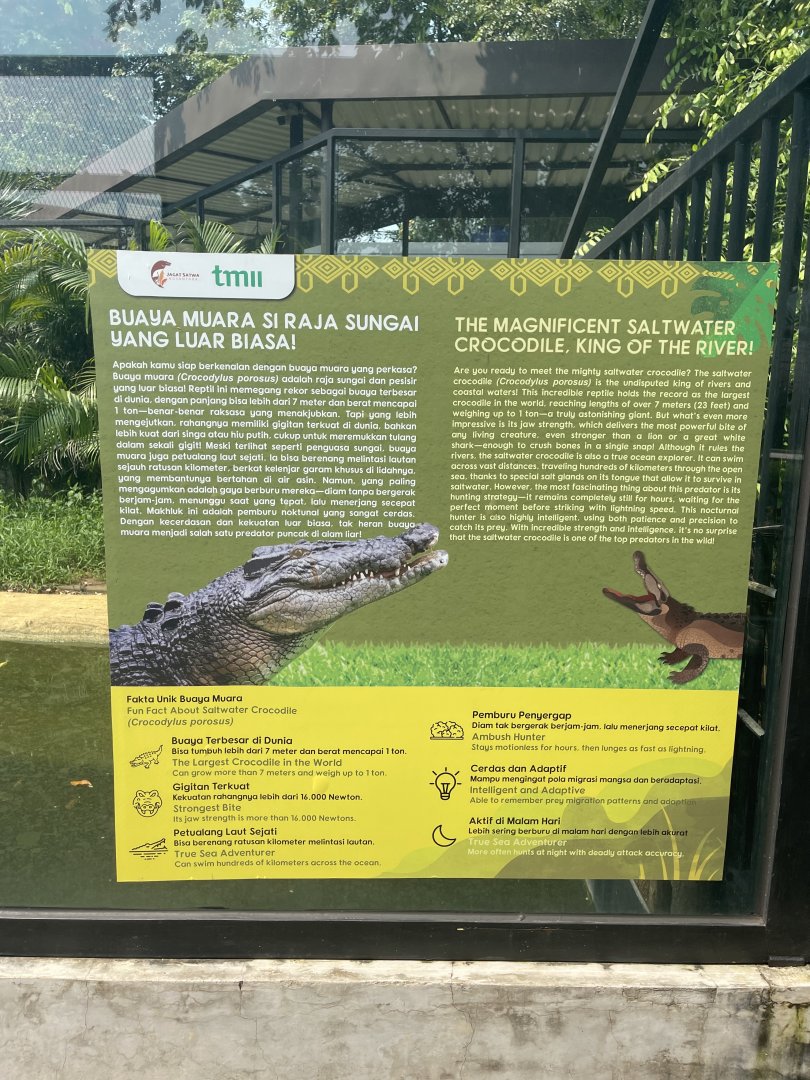 saltwater crocodile signage (2) - museum komodo