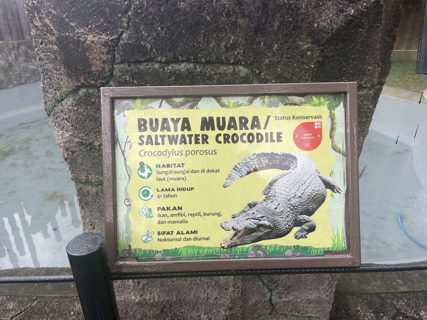 saltwater crocodile signage (2)