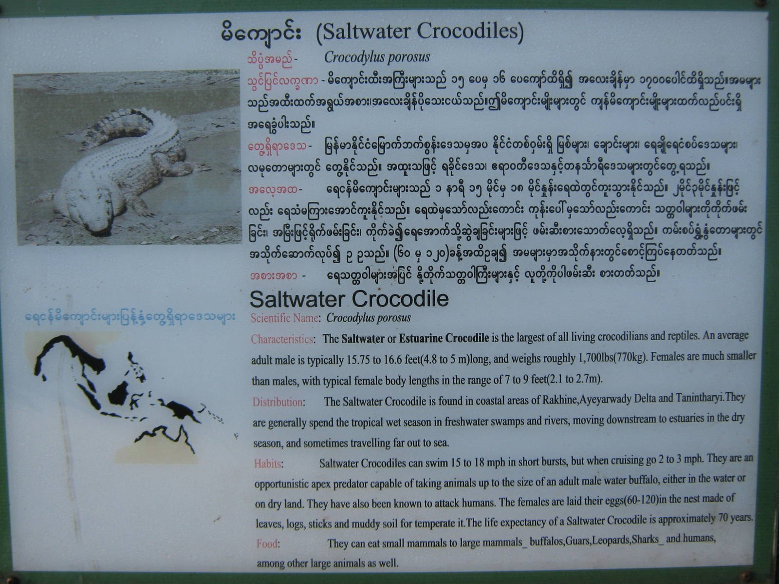 Saltwater Crocodile signage