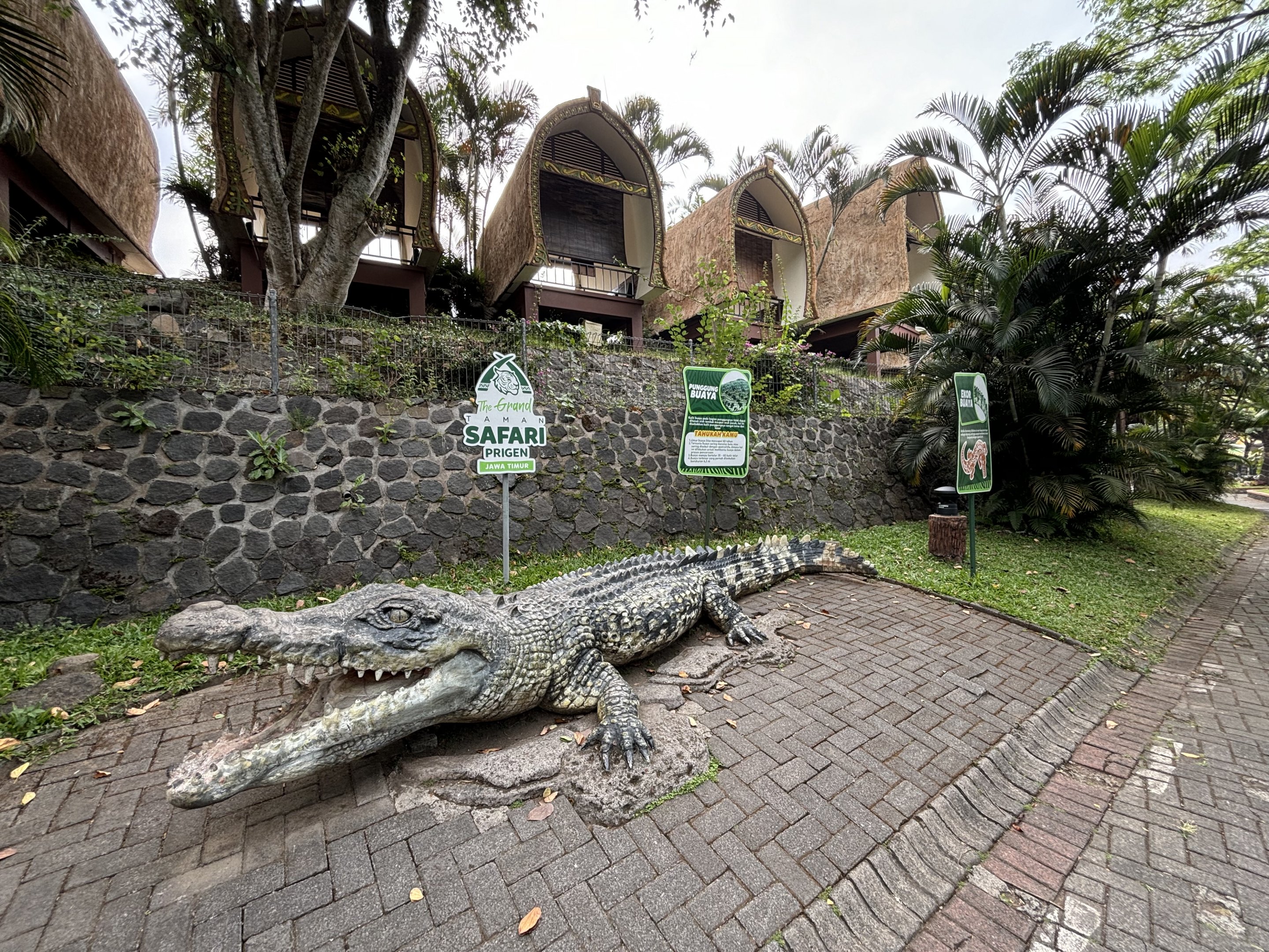 Saltwater Crocodile Statue