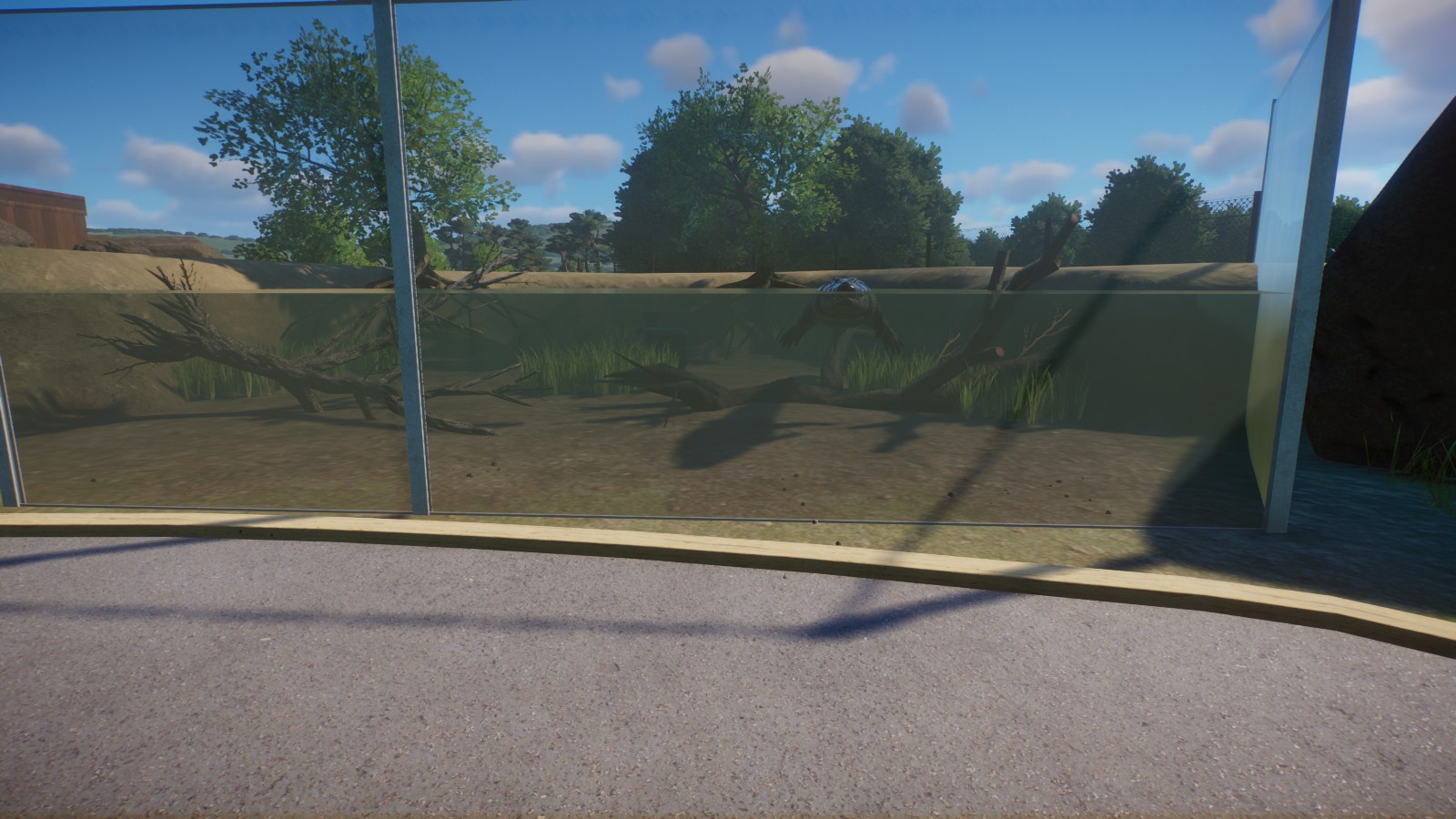 Saltwater Crocodile Underwater Viewing