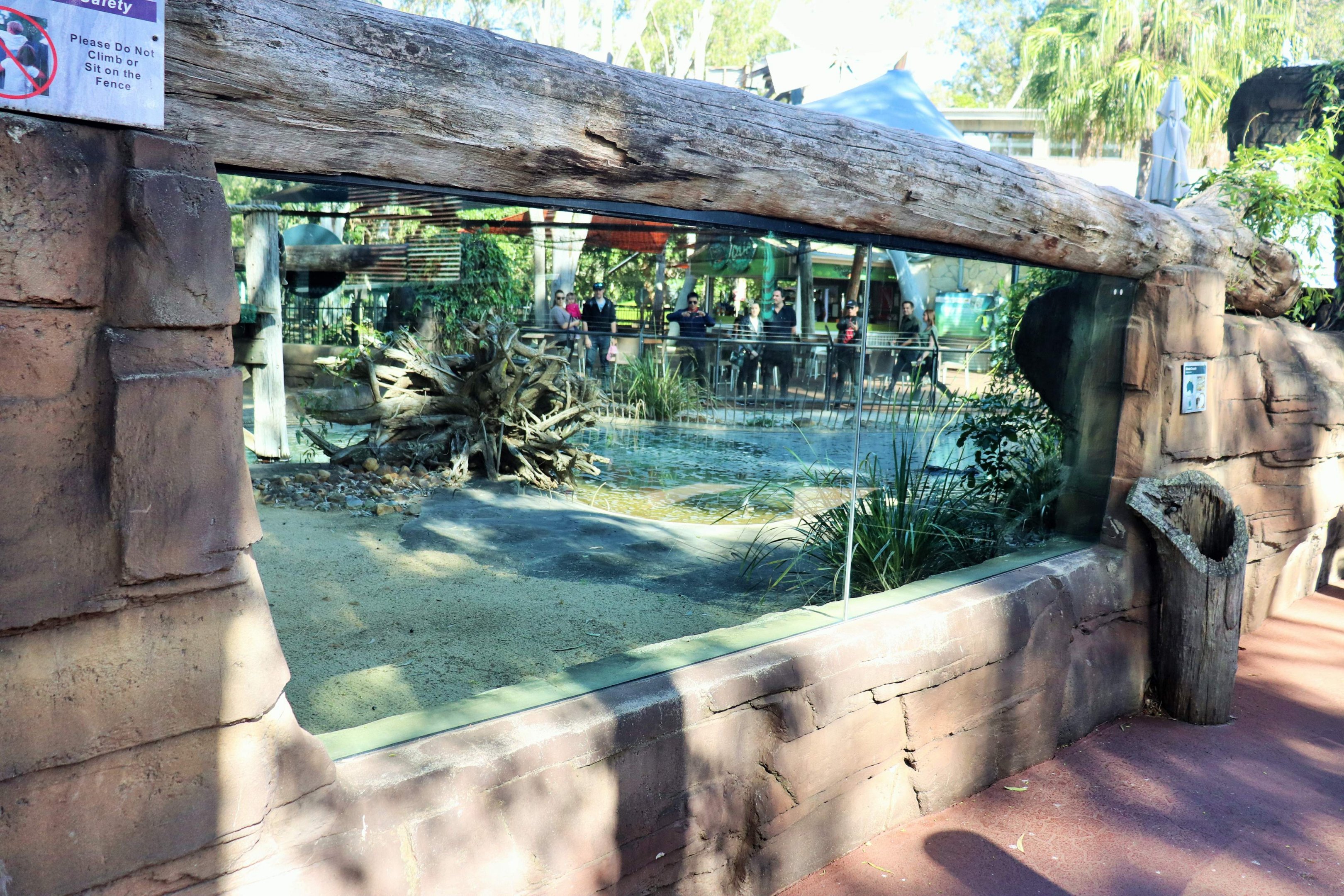 Saltwater Crocodile Viewing Area