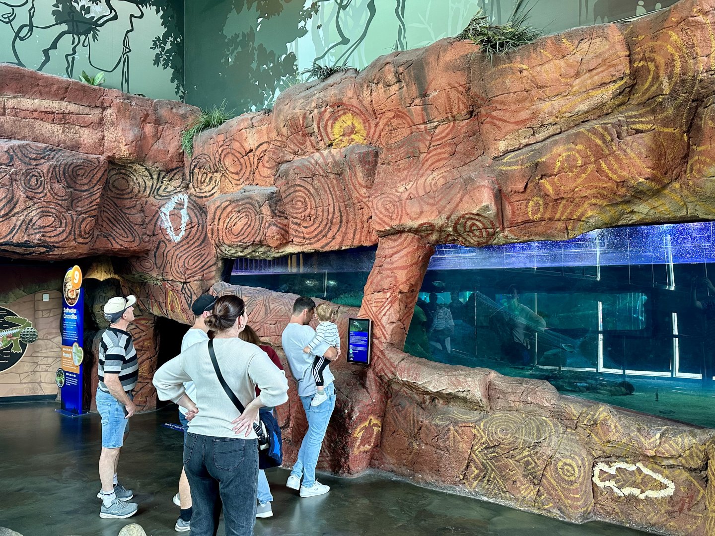 Saltwater Crocodile Viewing Window