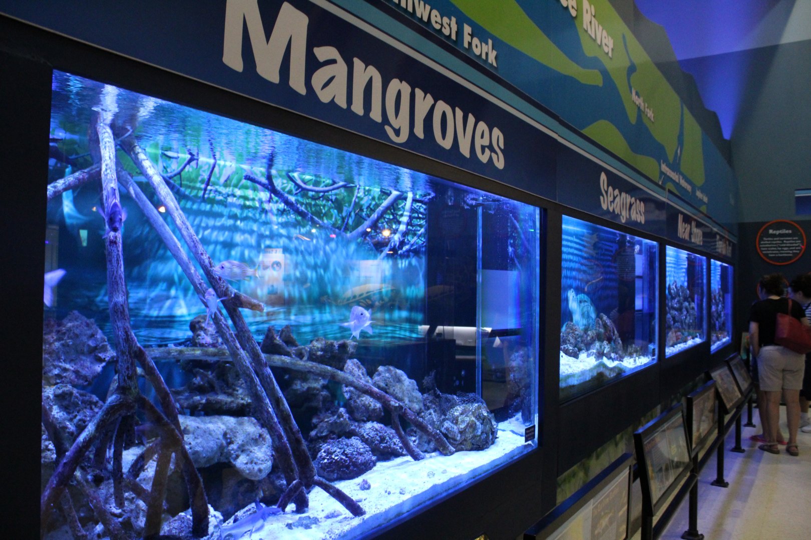 Saltwater Fish Tanks
