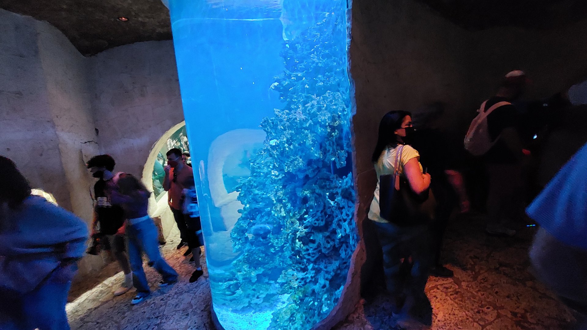 Saltwater Wonders view from cenote