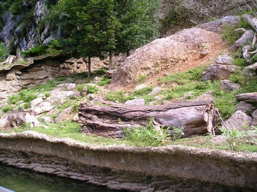 Salzburg Zoo (AT) Chamois 2004
