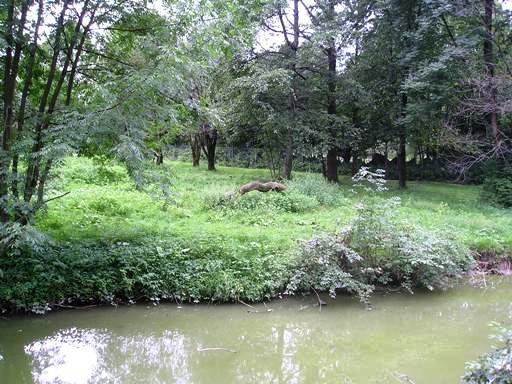 Salzburg Zoo (AT) Cheeta 2004