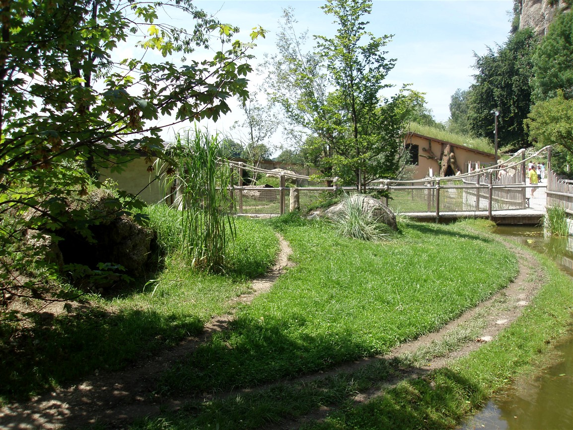 Salzburg Zoo - Maned wolf exhibit