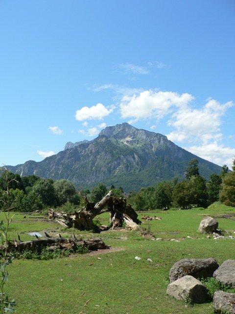 Salzburg's african plain