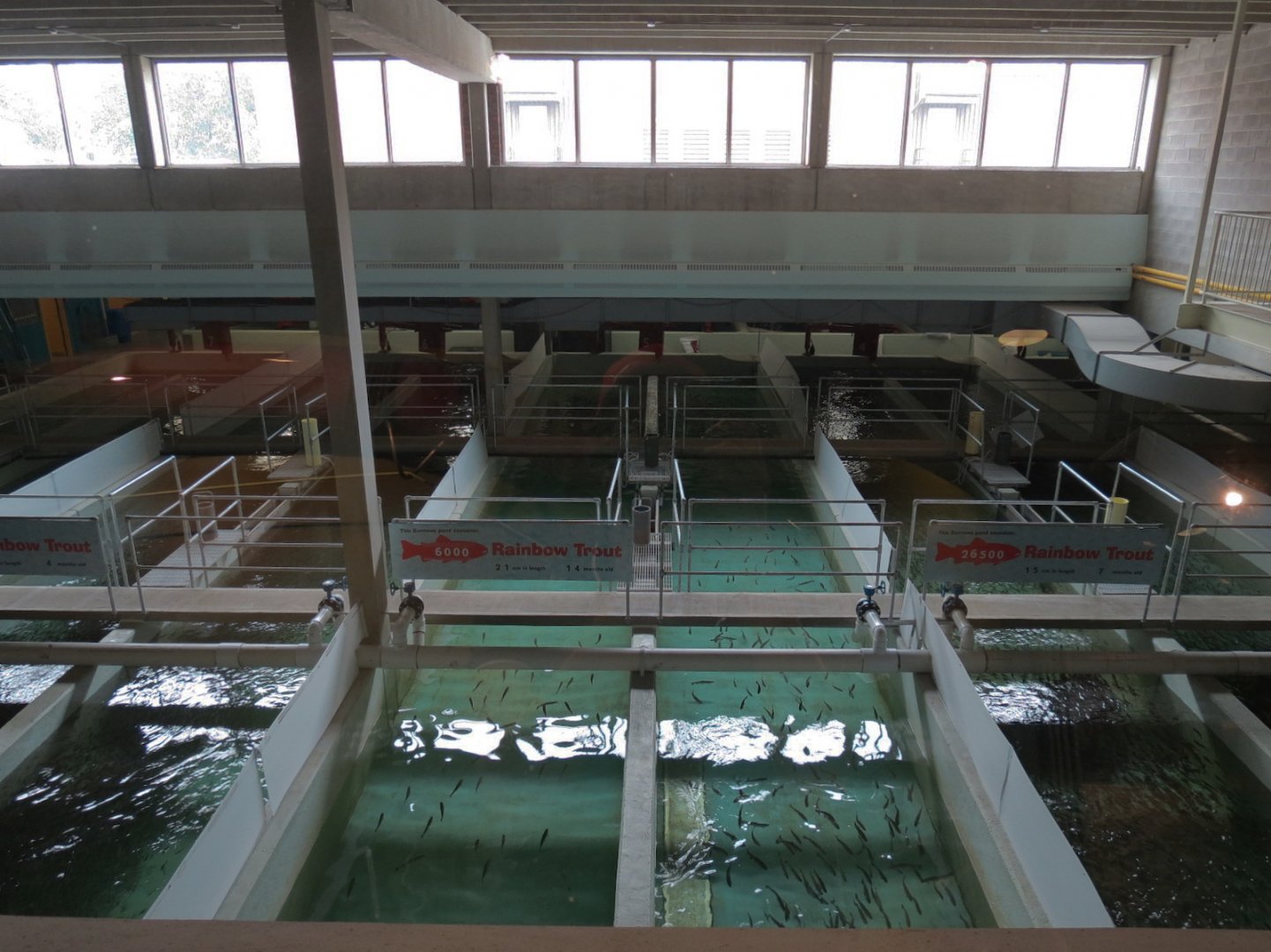 Sam Livingston Fish Hatchery - Overview