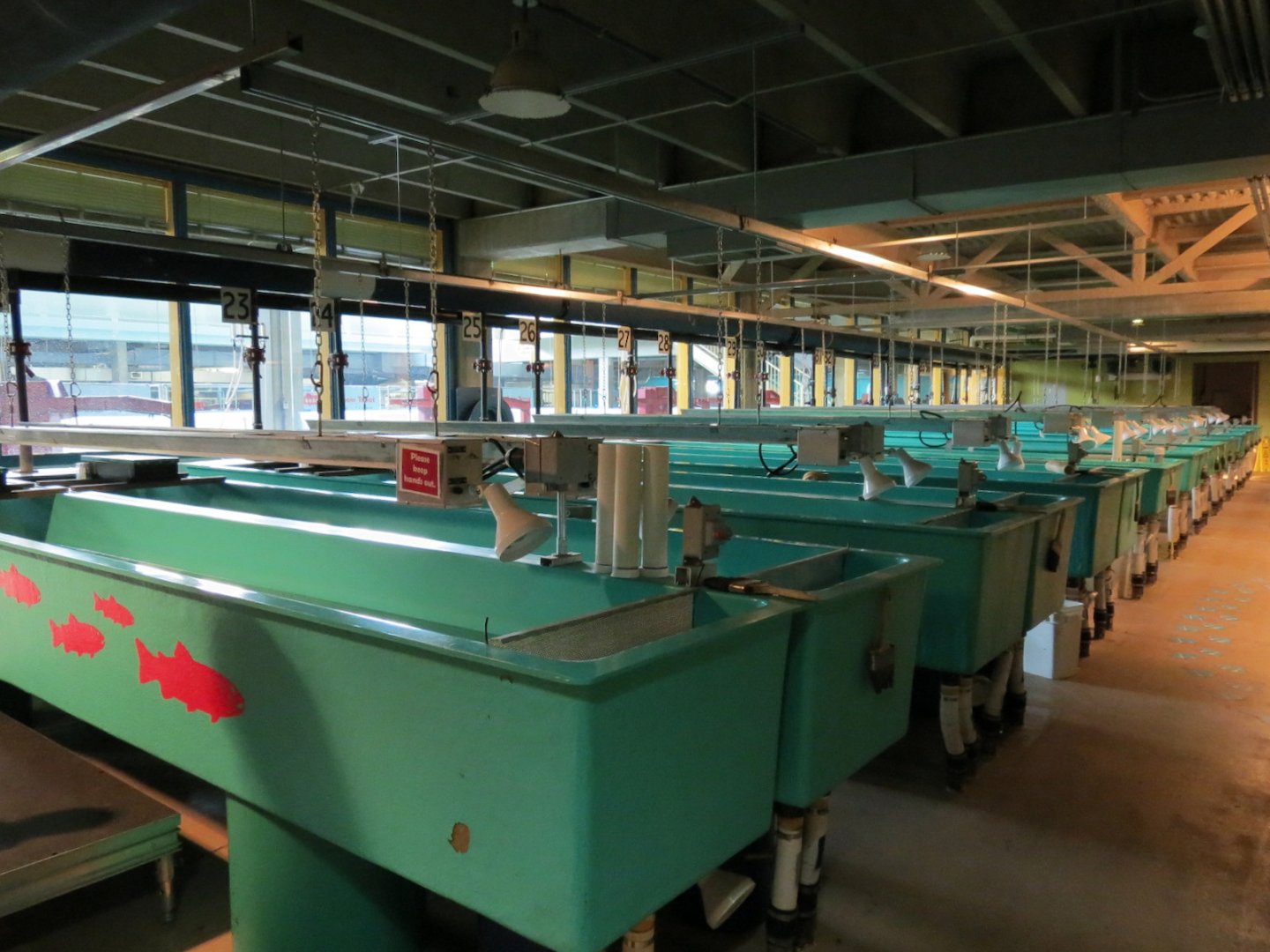 Sam Livingston Fish Hatchery