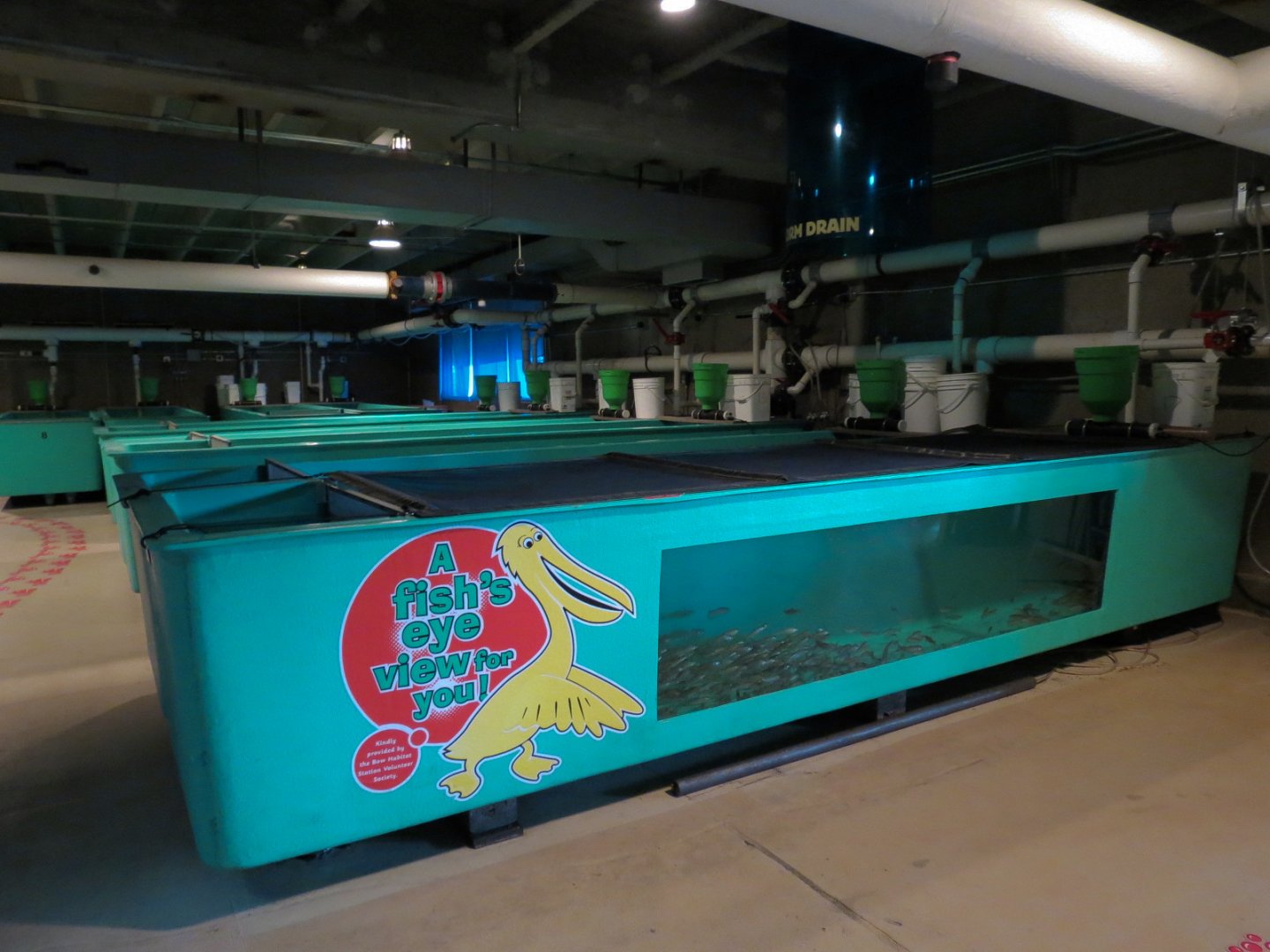 Sam Livingston Fish Hatchery