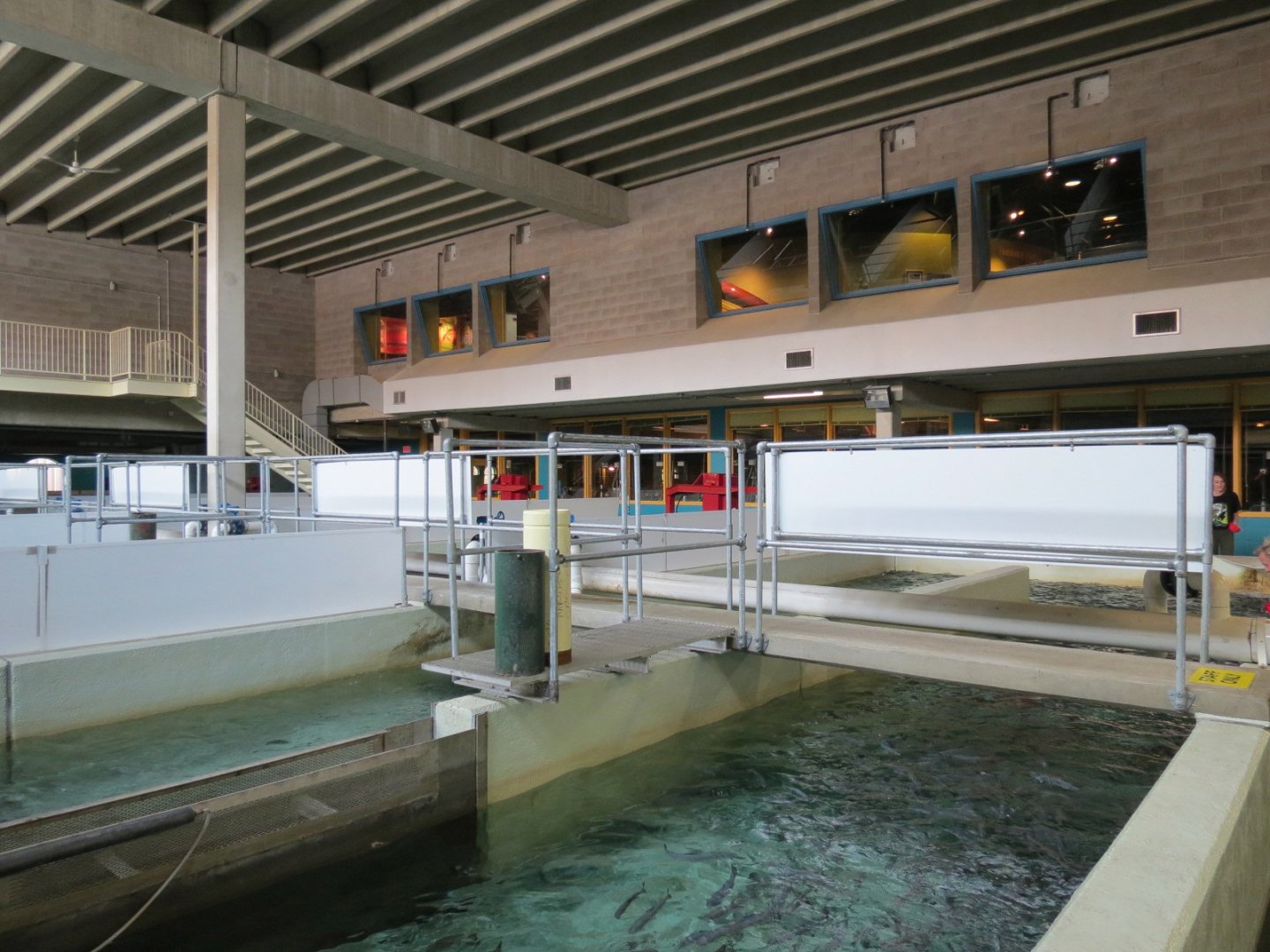 Sam Livingston Fish Hatchery