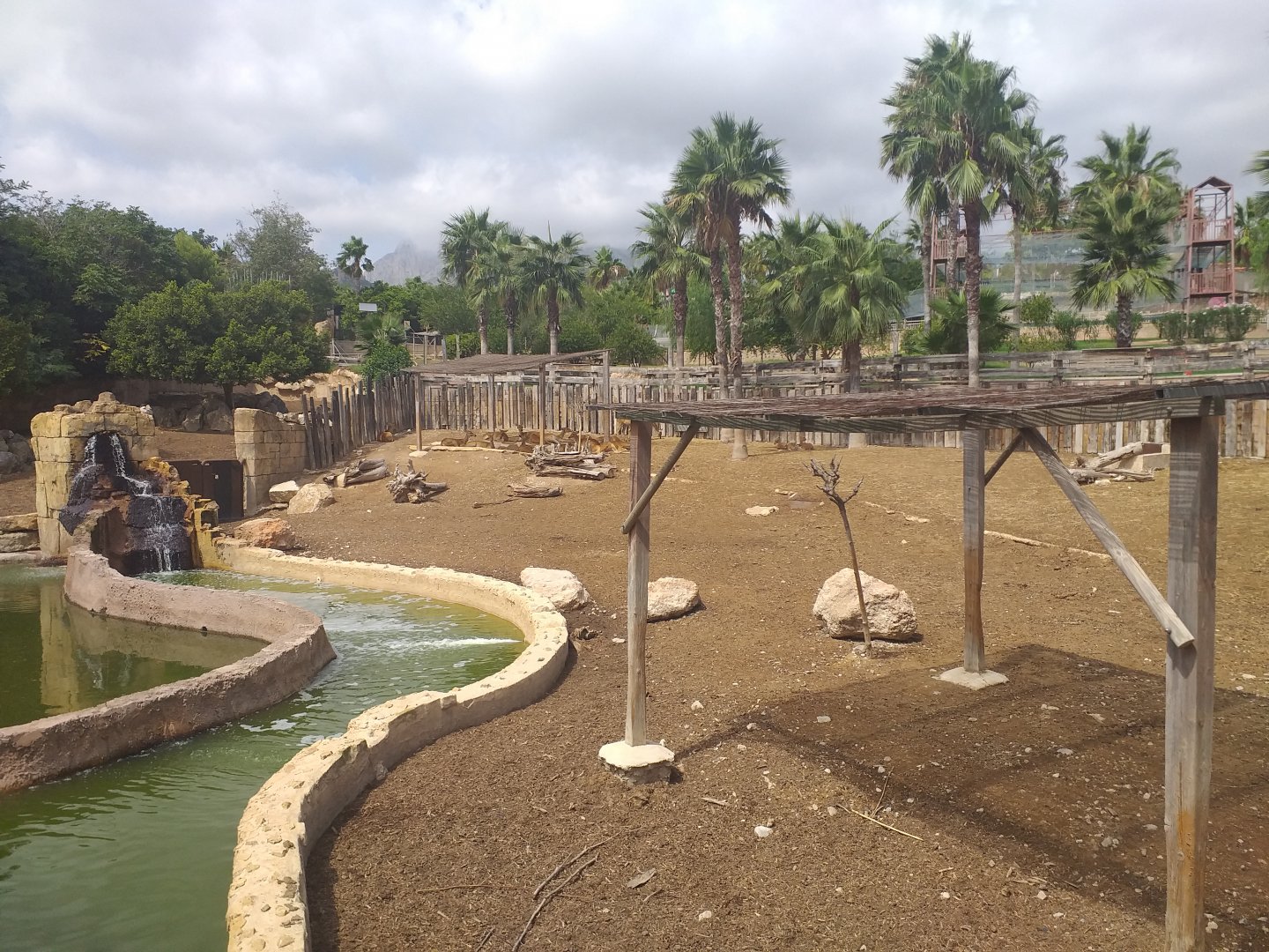 Sambar, Barashinga and Blackbuck exhibit -TerraNatura Benidorm (2021)