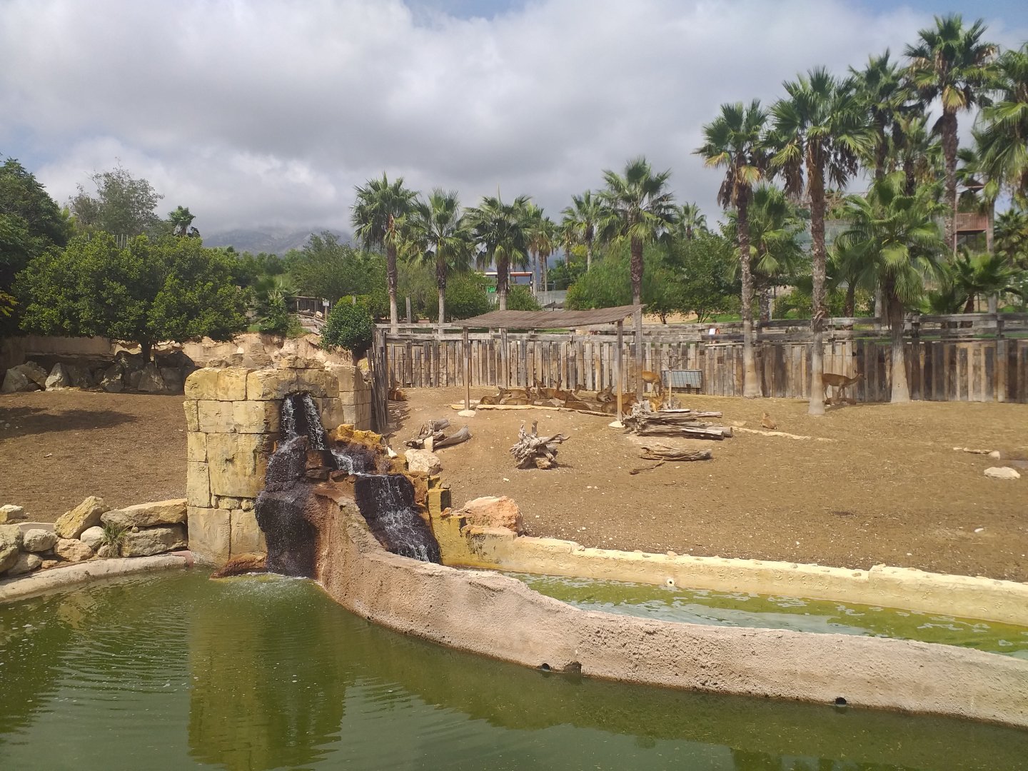 Sambar, Barashinga and Blackbuck exhibit -TerraNatura Benidorm (2021)