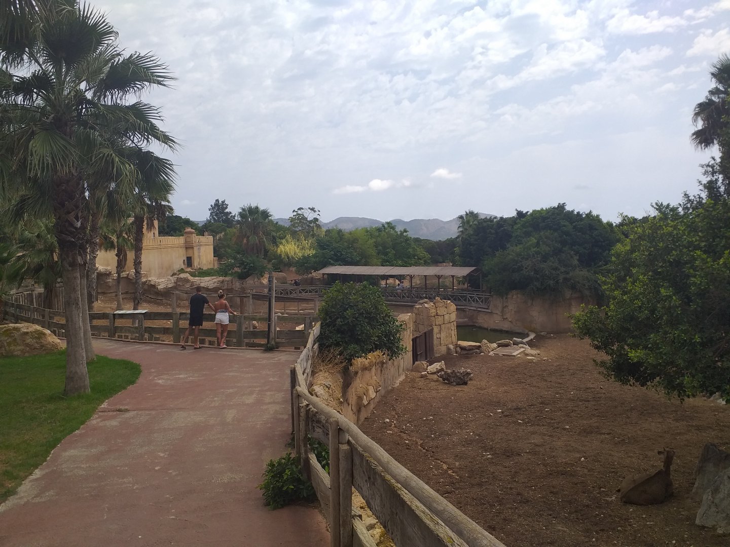 Sambar, Barashinga and Blackbuck exhibit -TerraNatura Benidorm (2021)