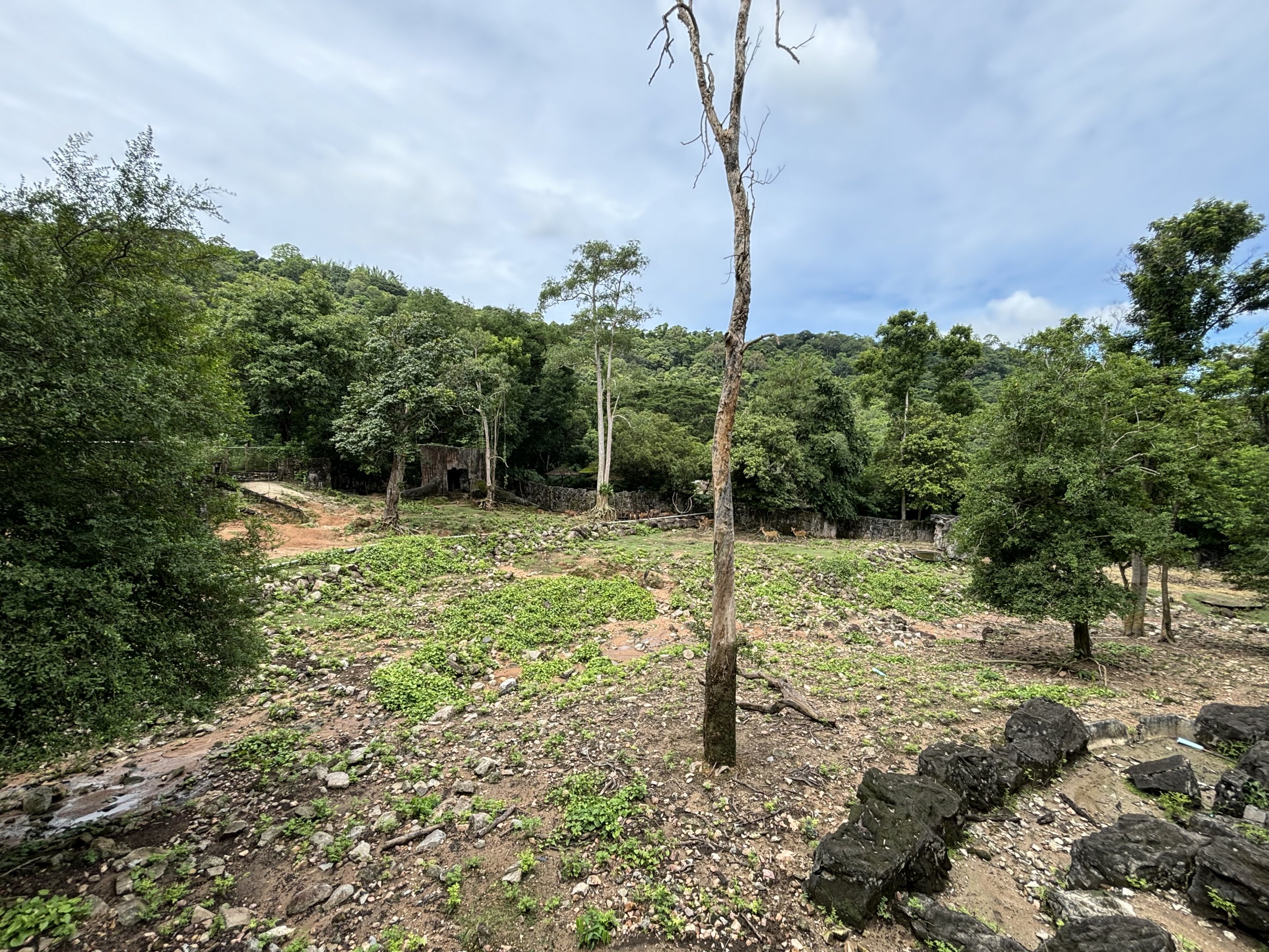Sambar + Barasingha Exhibit
