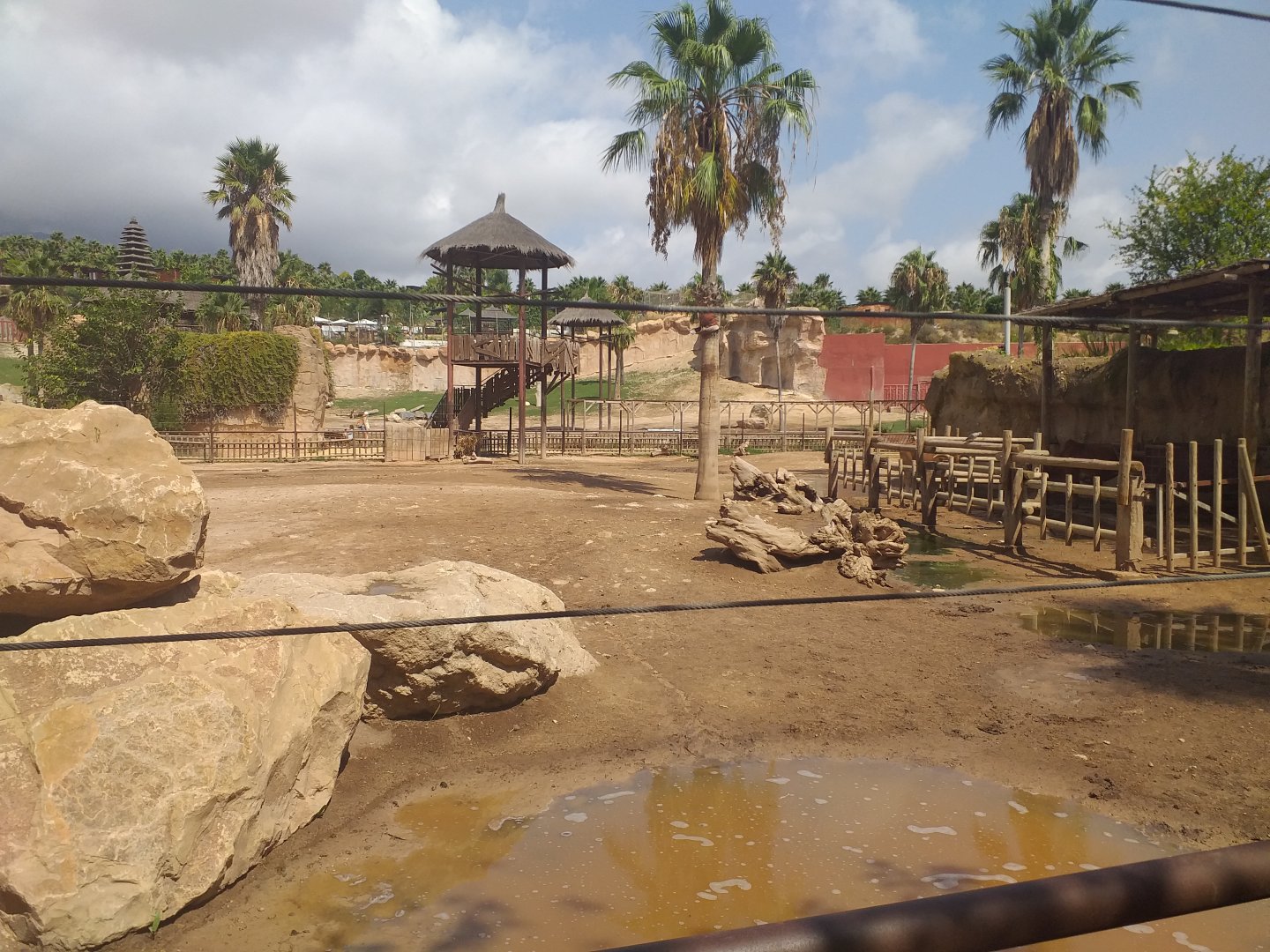 Sambar, Dwarf zebu and Dromedary paddock -TerraNatura Benidorm (2021)