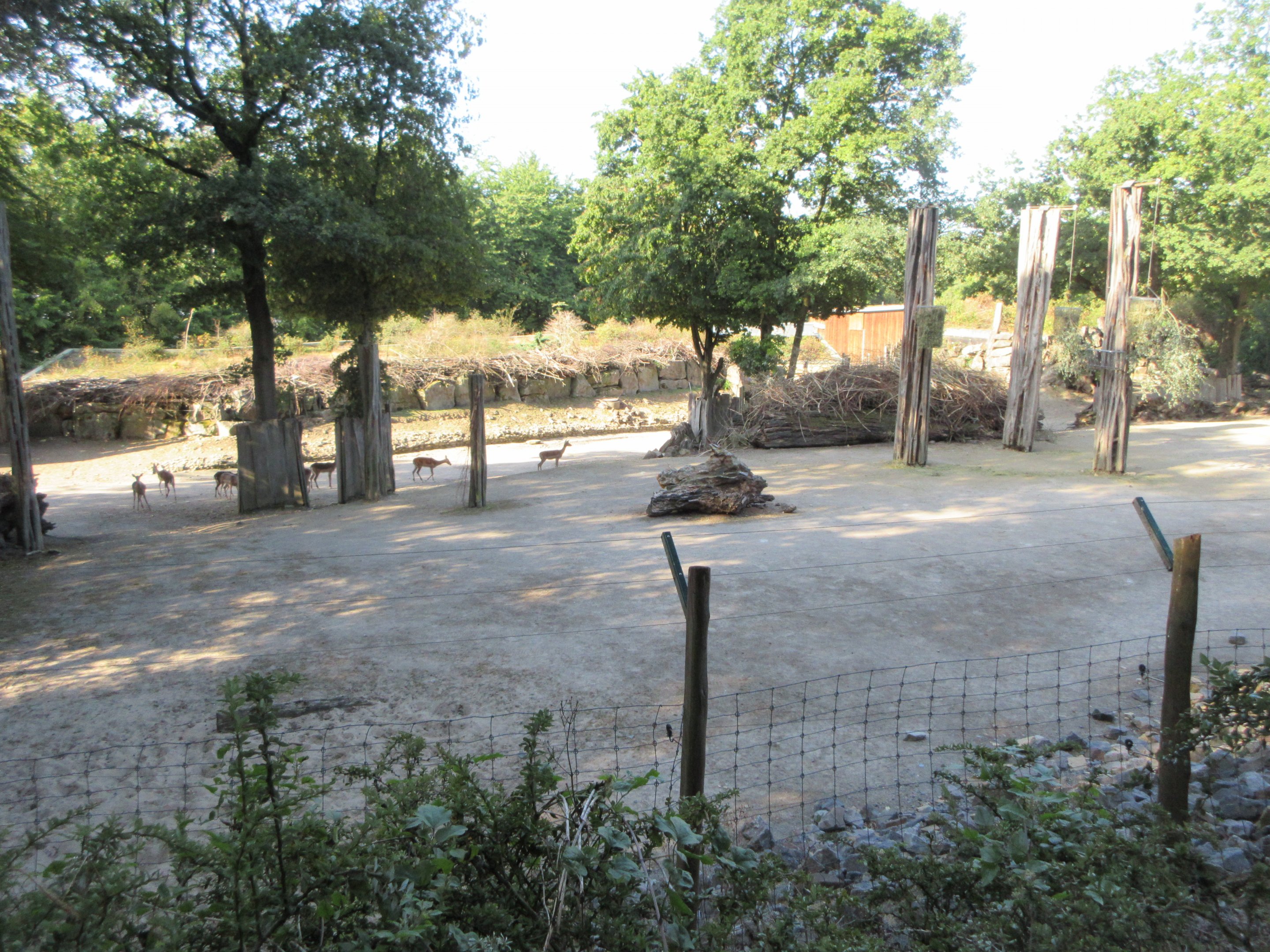 Samburu - African Savanna (5 species)