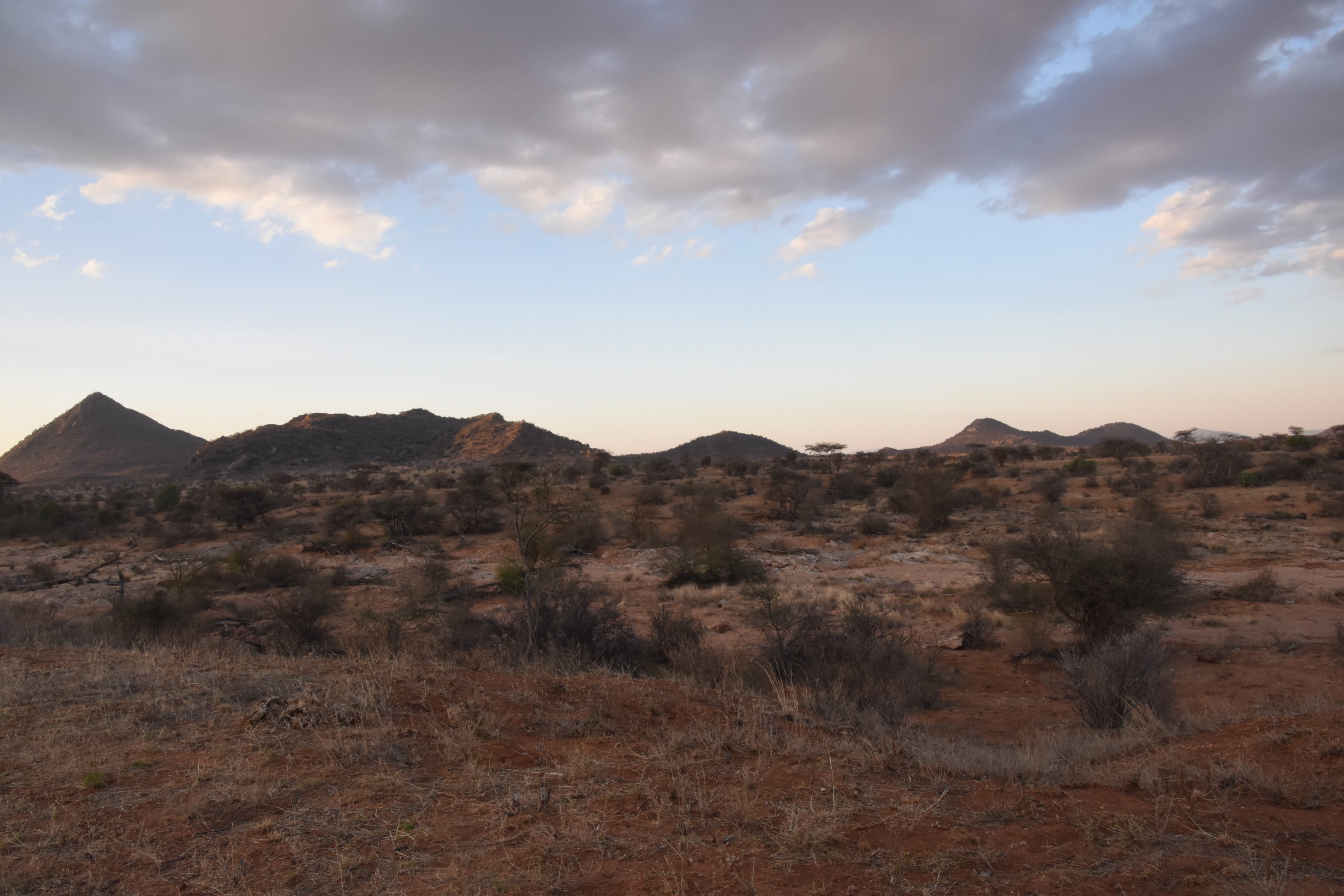 Samburu landscape