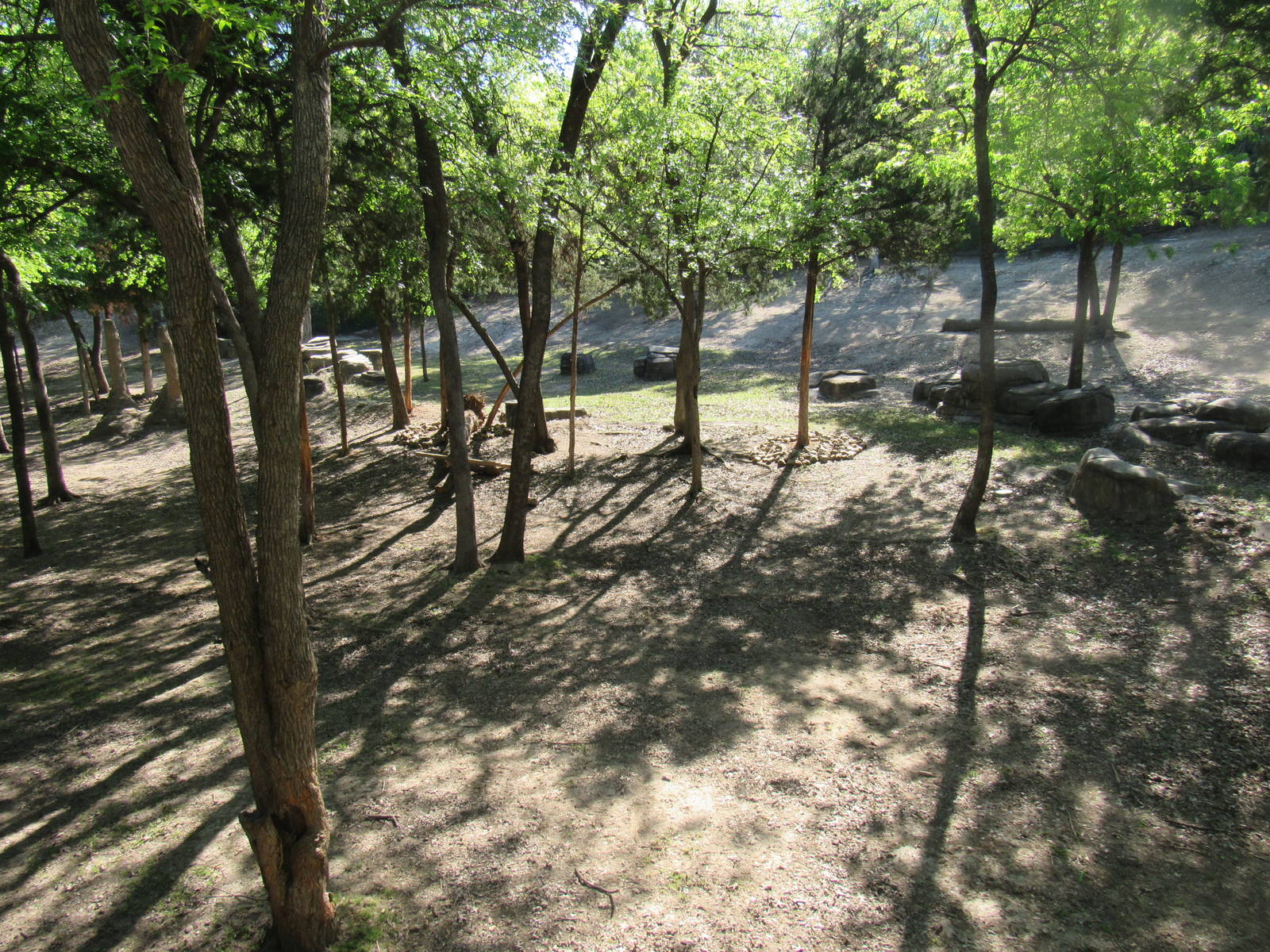 Samburu National Reserve