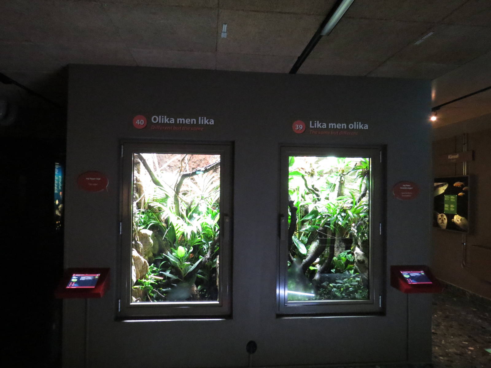 Same but different, June 2015