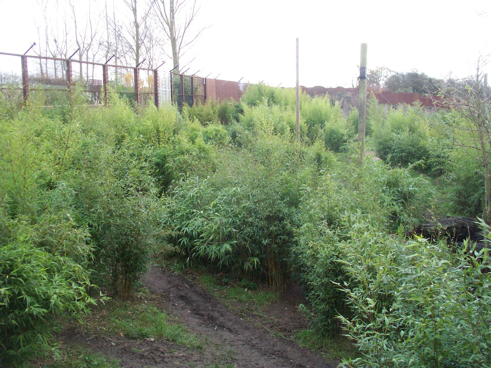 same enclosure 10 years on.