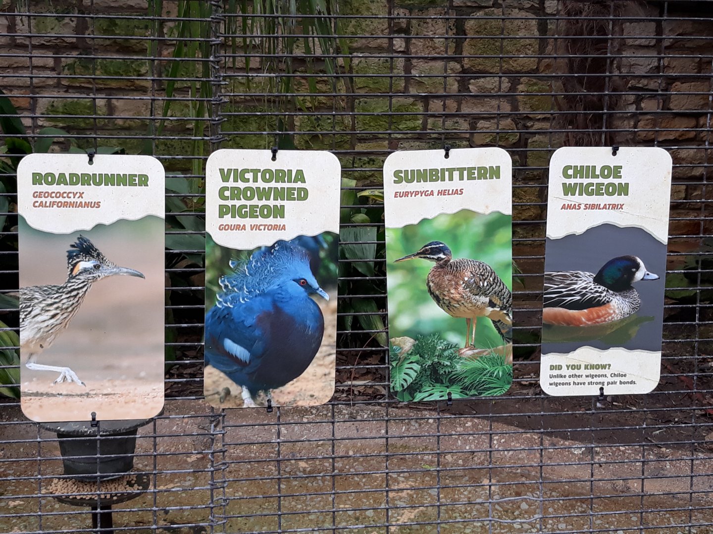 Same signs, different arrangement