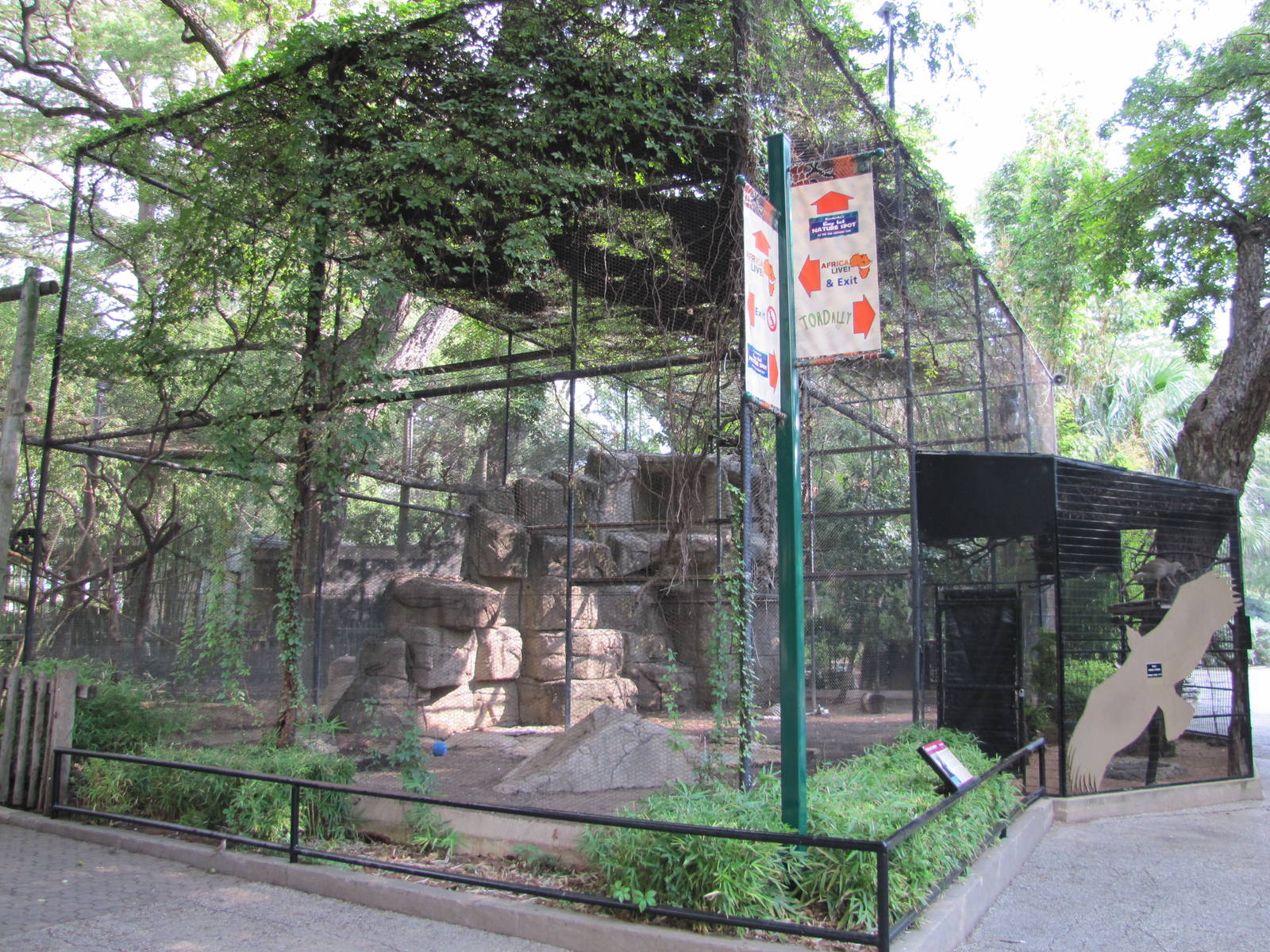 San Antonio Zoo 2010 - Andean Condor aviary in the Amazonia Rain Forest