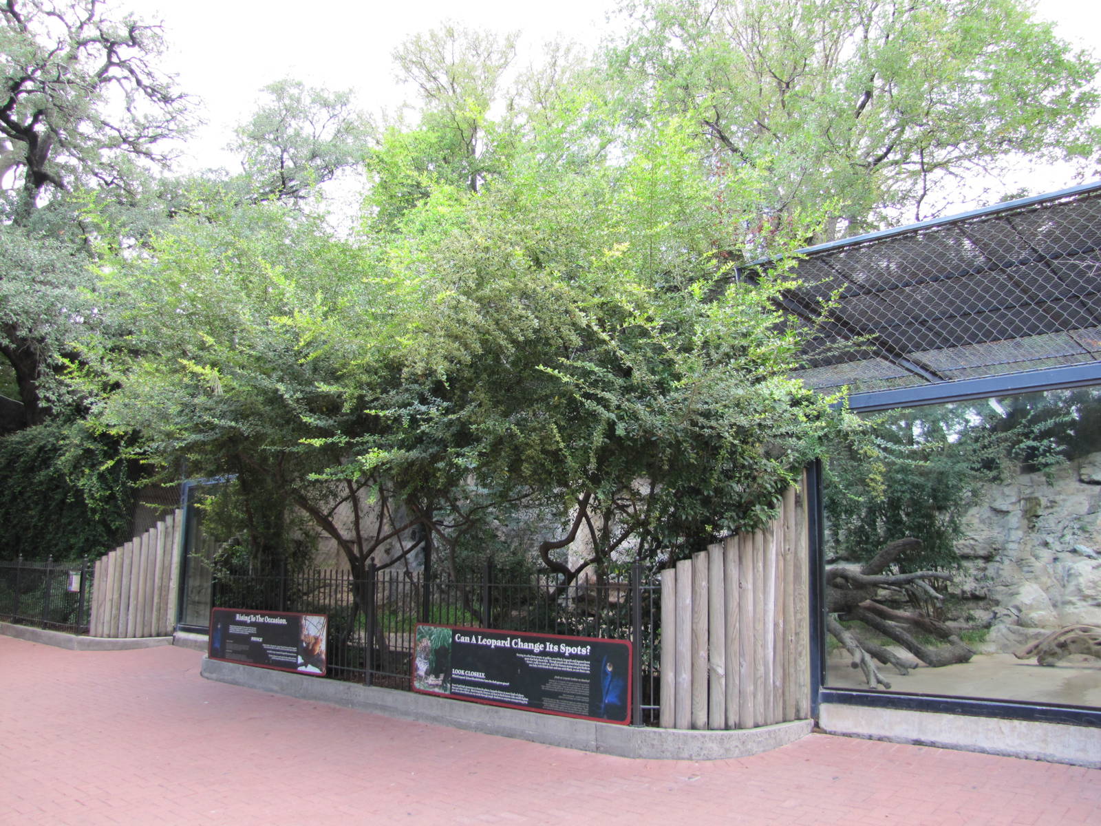 San Antonio Zoo 2010 - Front of the Black Panther exhibit
