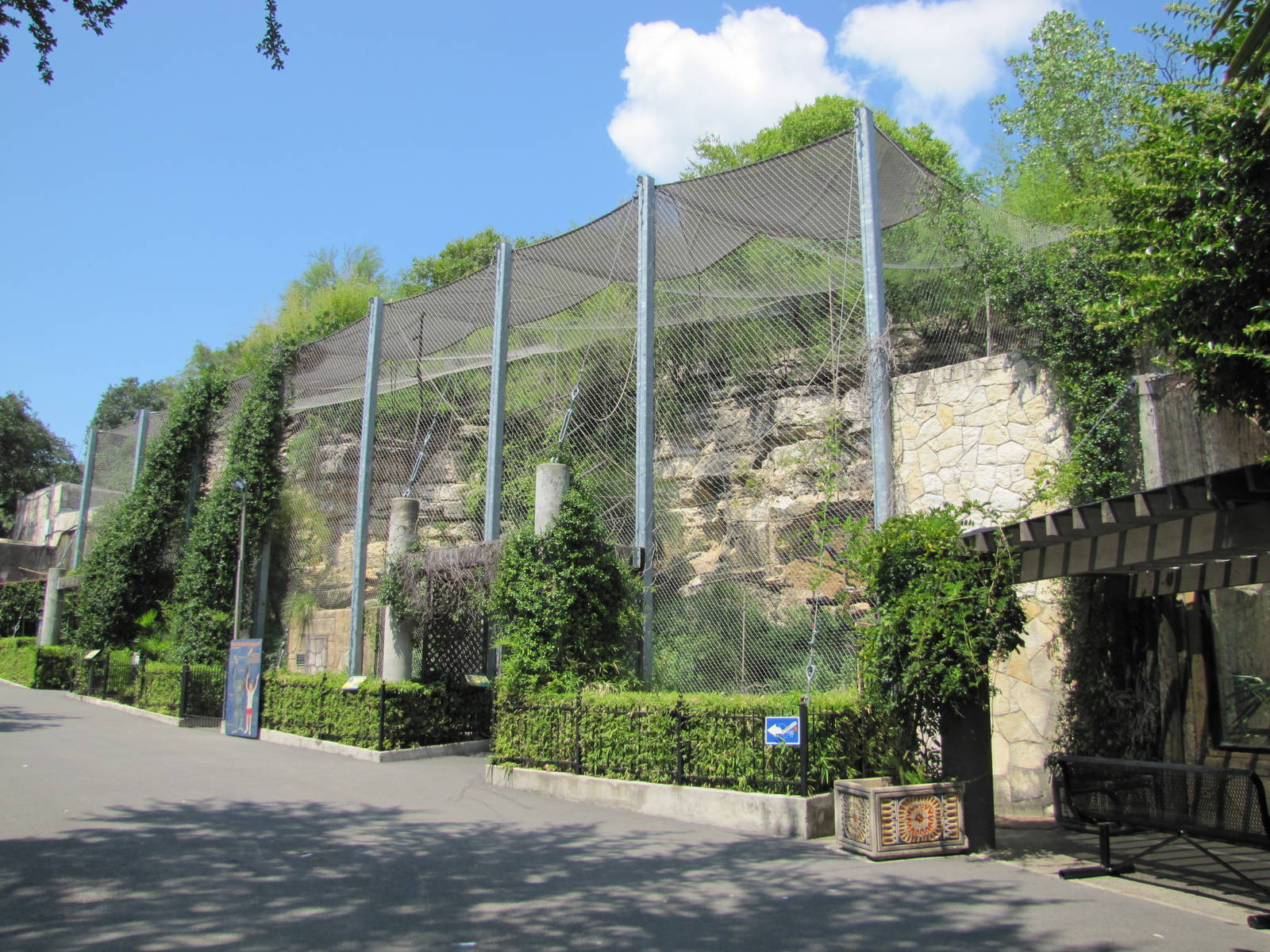 San Antonio Zoo 2010 - Front of White-cheeked Gibbon and Francois Langur ex