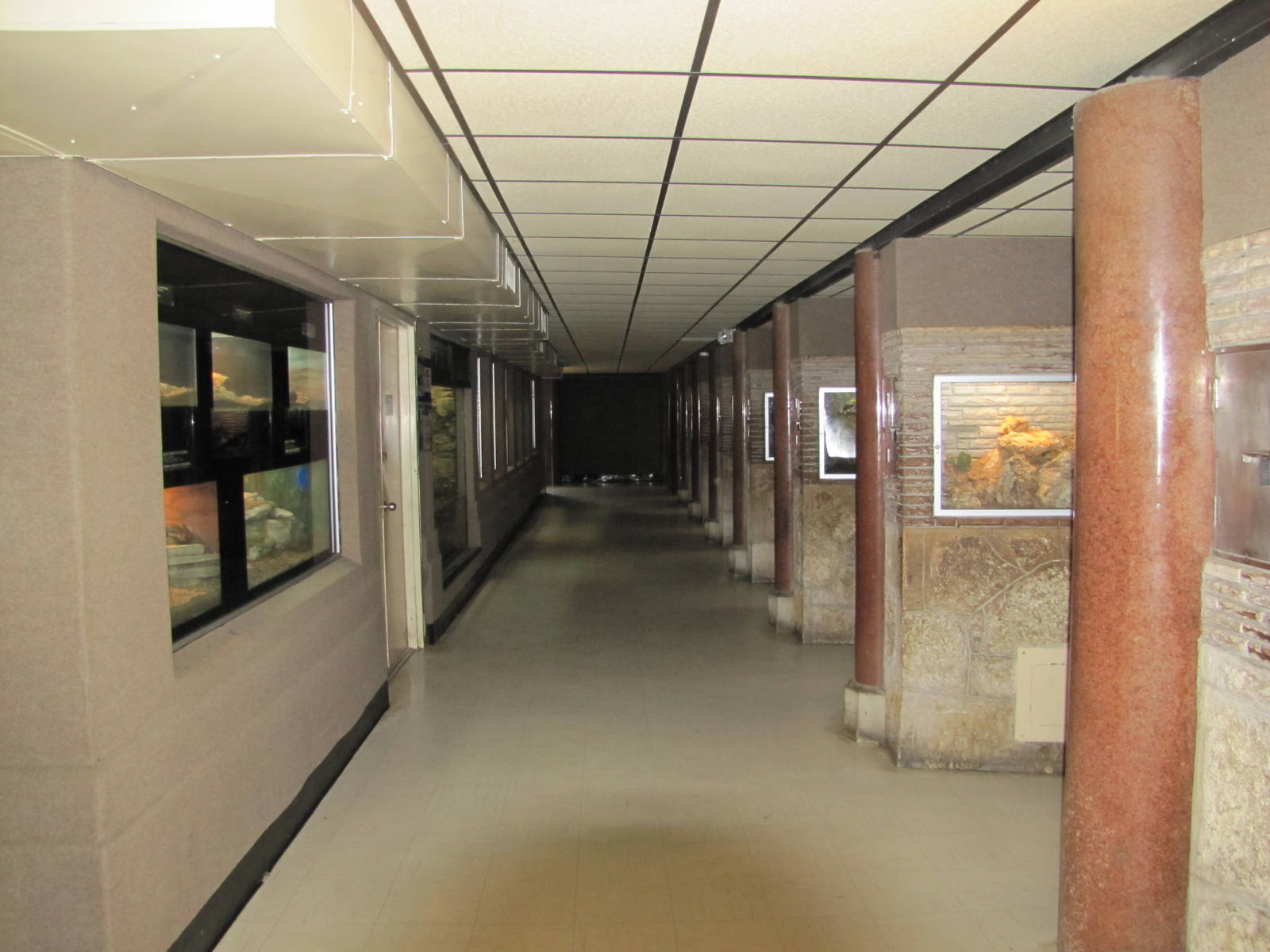 San Antonio Zoo 2010 - General view inside the Reptile House