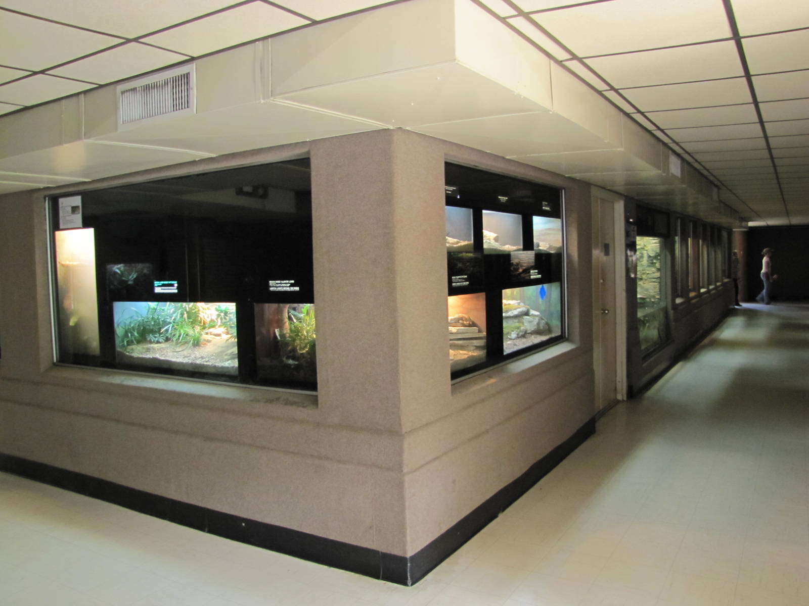 San Antonio Zoo 2010 - General view inside the Reptile House