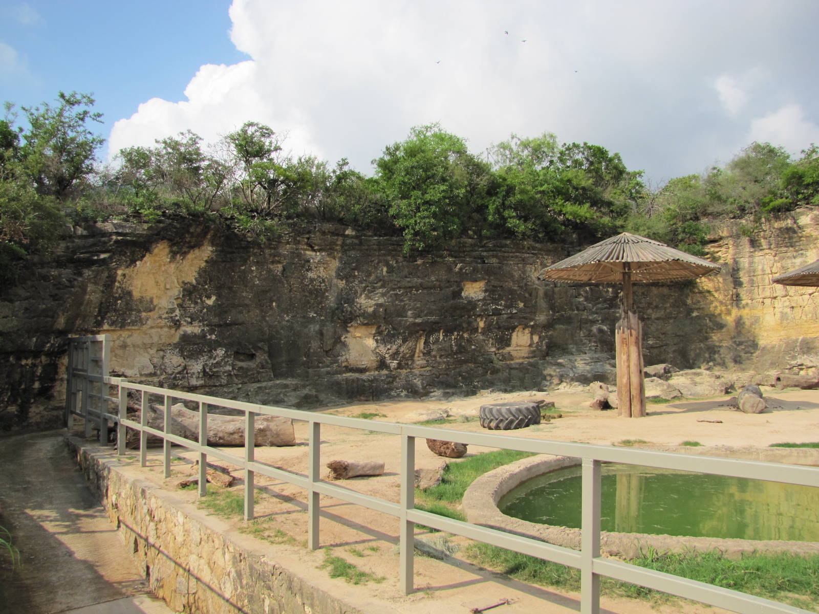 San Antonio Zoo 2010 - Left part of the controversial Asiatic Elephant exhi