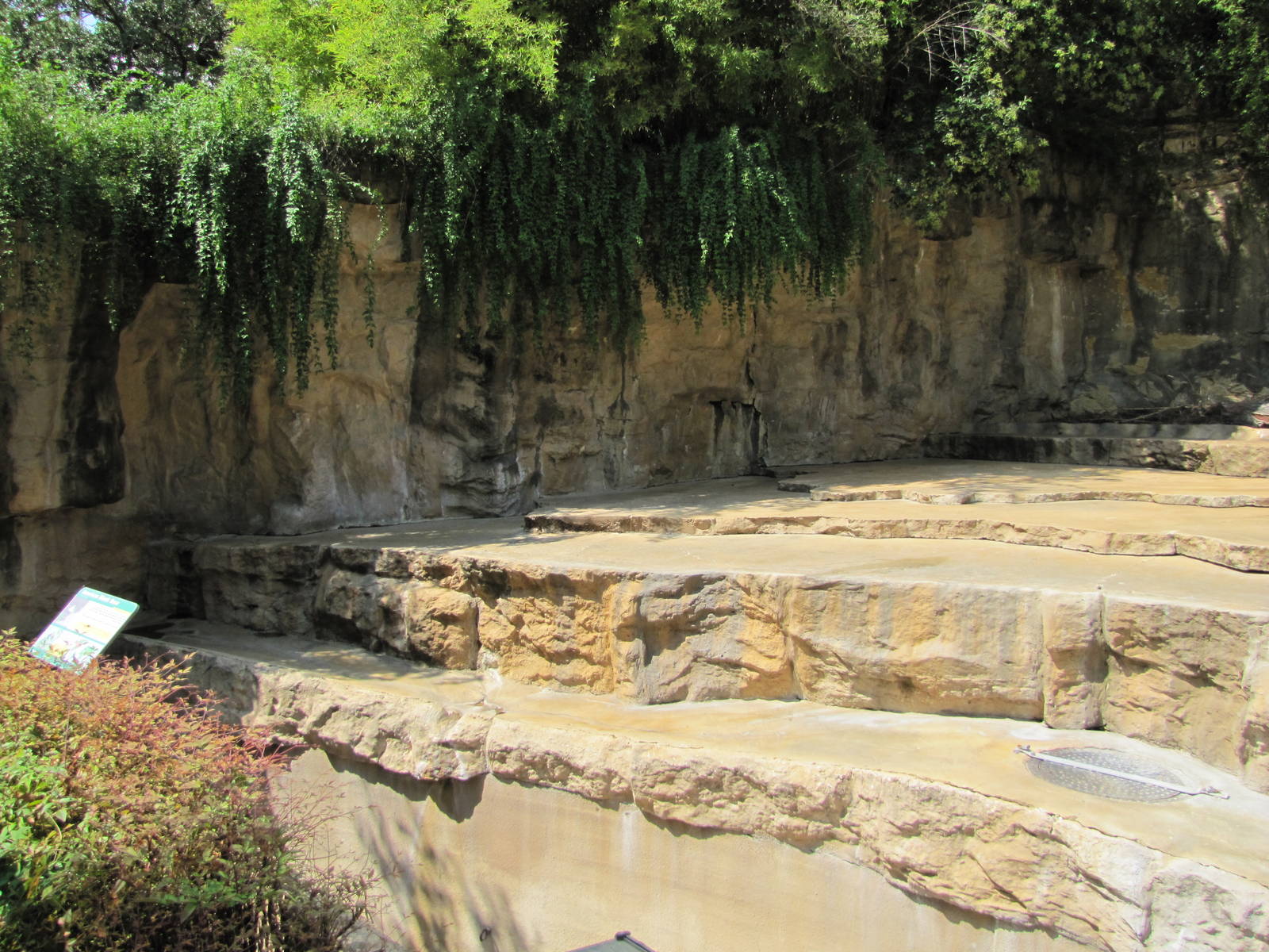 San Antonio Zoo 2010 - Left side of the American Black Bear rocky grotto