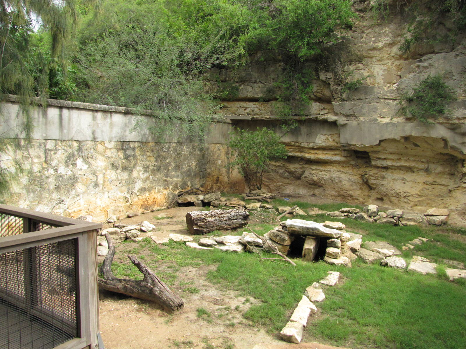 San Antonio Zoo 2010 - Left side of the Crested Porcupine exhibit