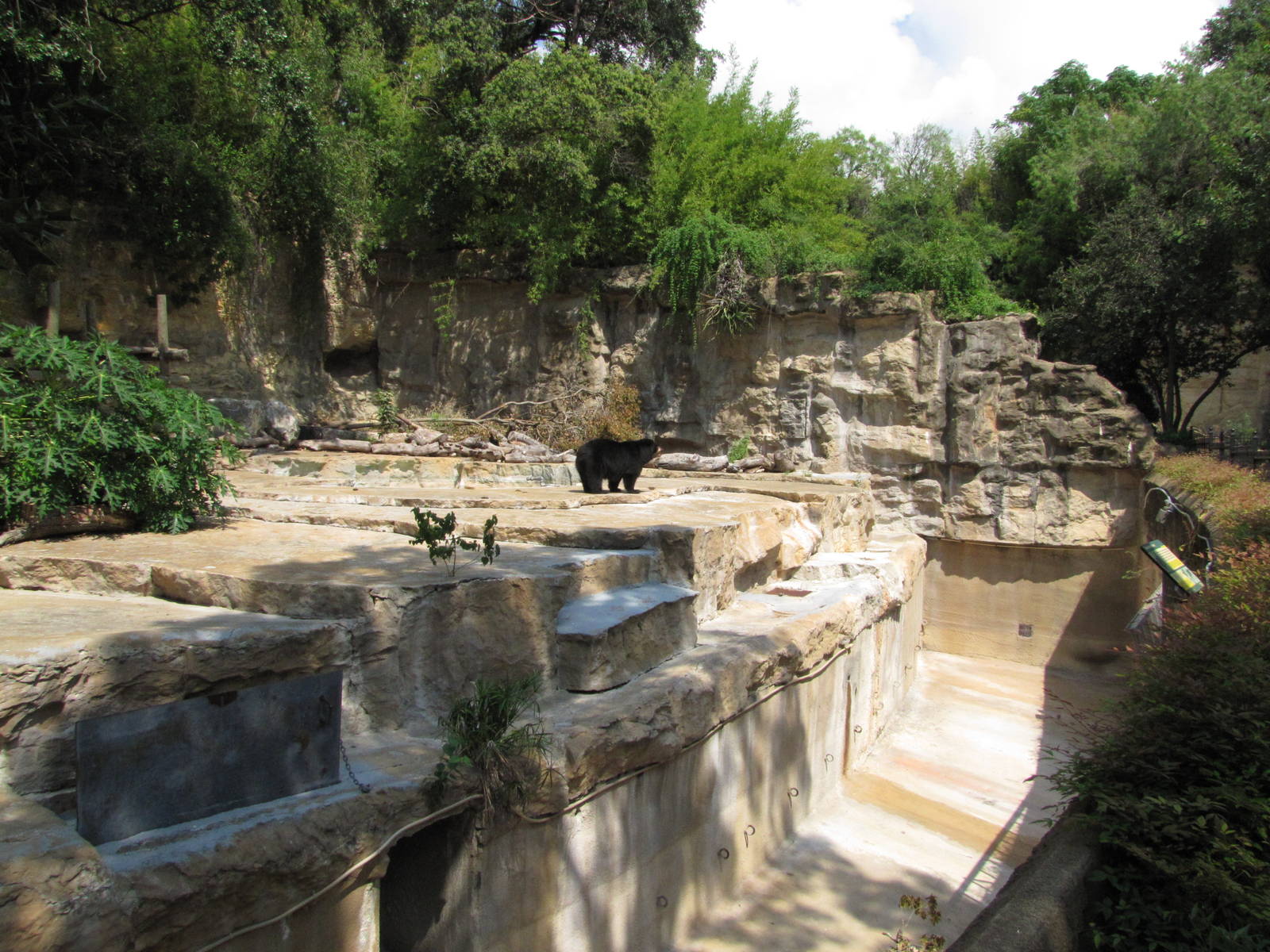 San Antonio Zoo 2010 - Left side of the Spectacled Bear rocky grotto