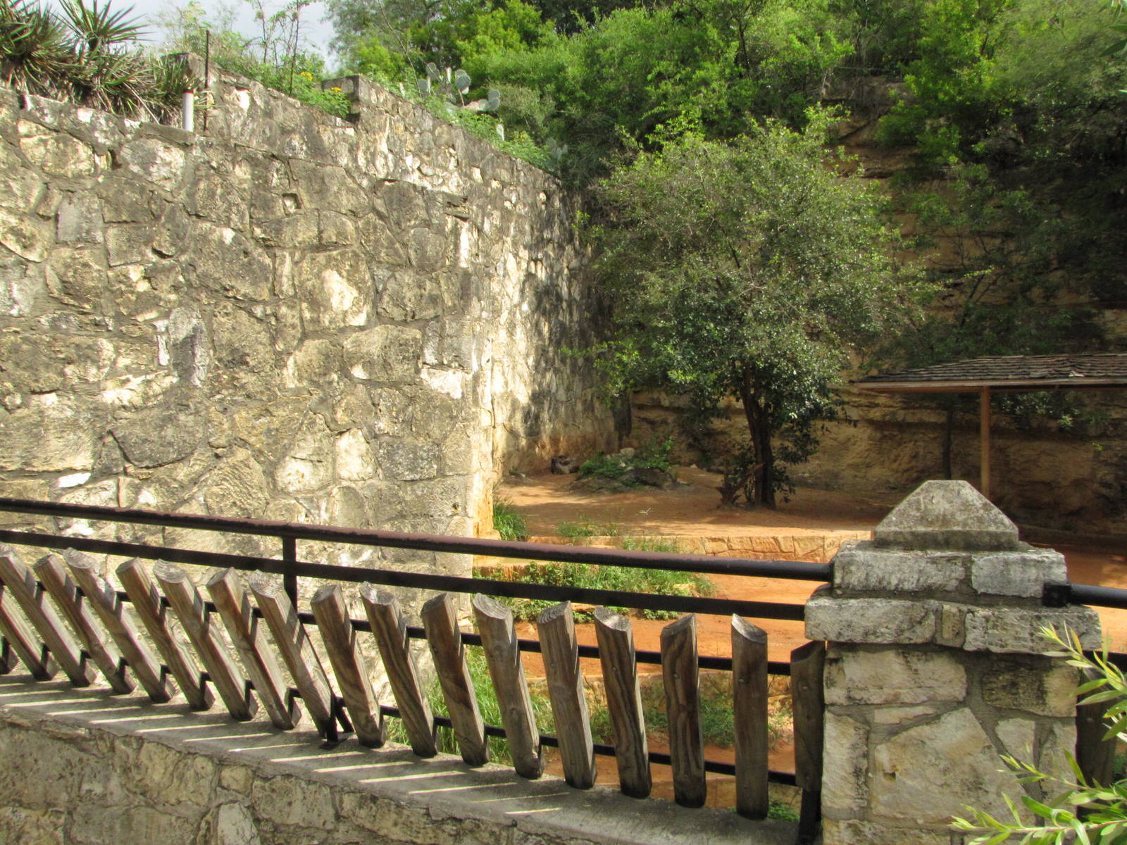 San Antonio Zoo 2010 - Left side of the Spotted Hyena exhibit