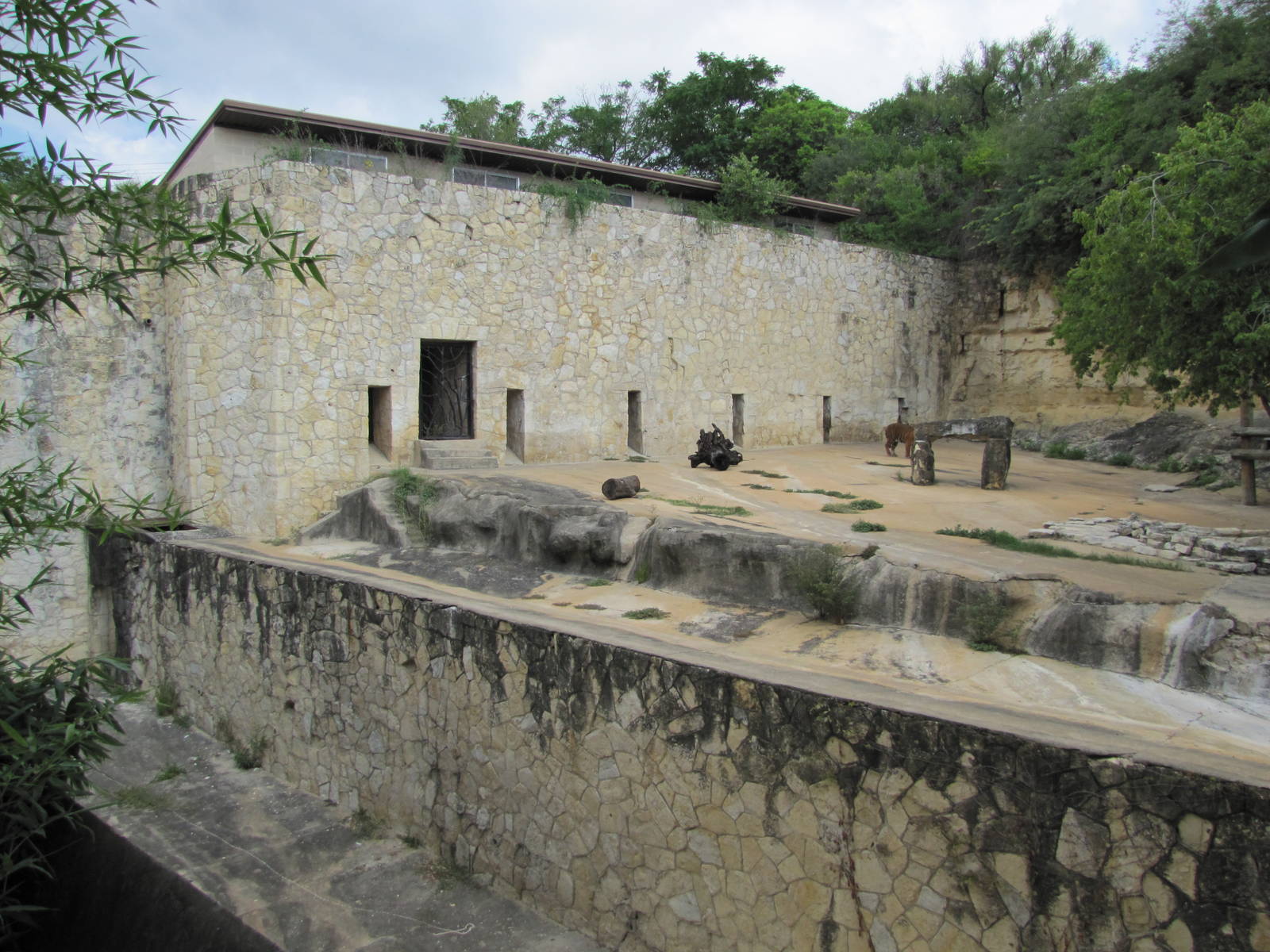 San Antonio Zoo 2010 - Left side of the Sumatran Tiger exhibit
