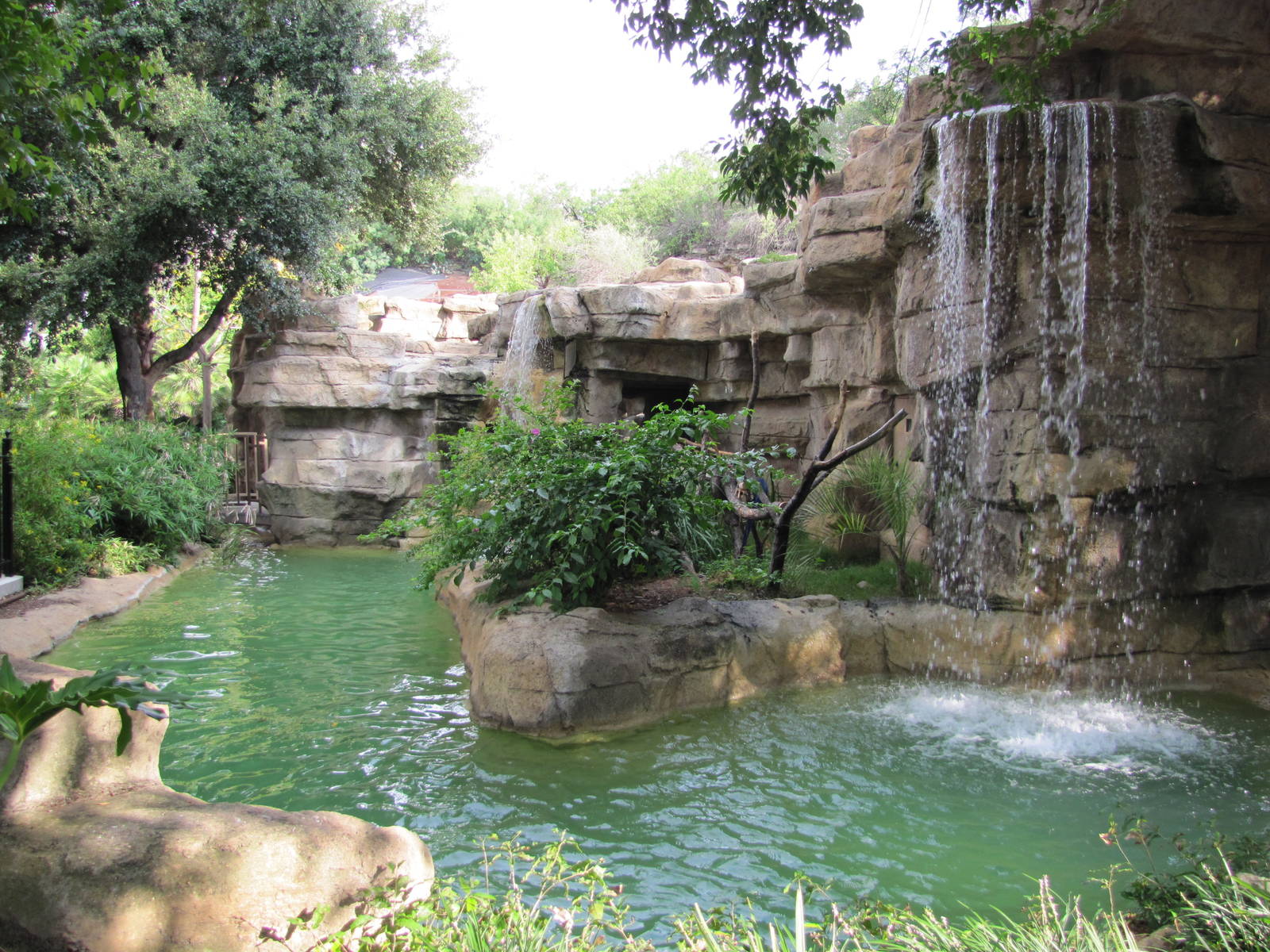 San Antonio Zoo 2010 - Macaw exhibit in the Amazonia Rain Forest